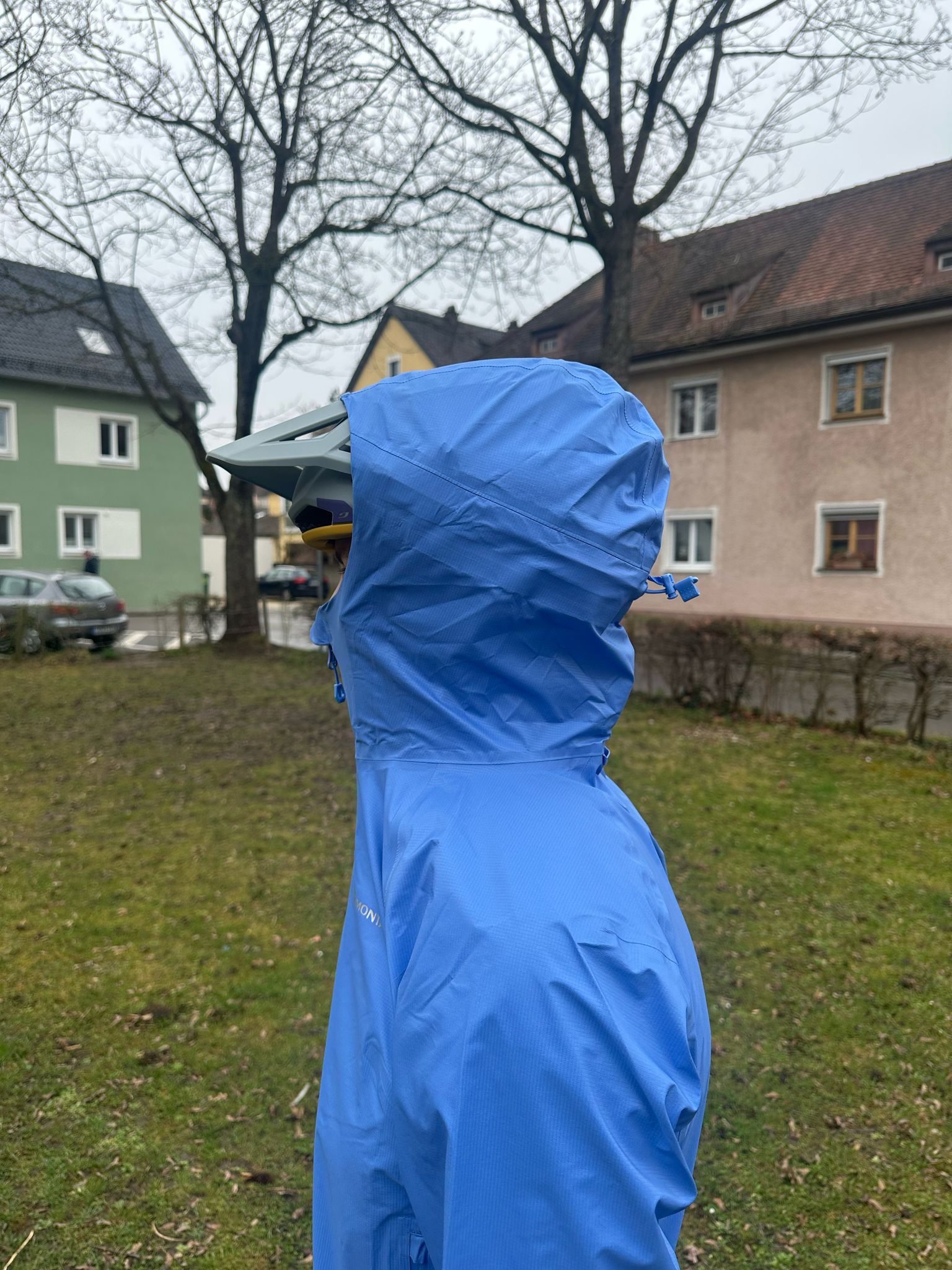 Montane