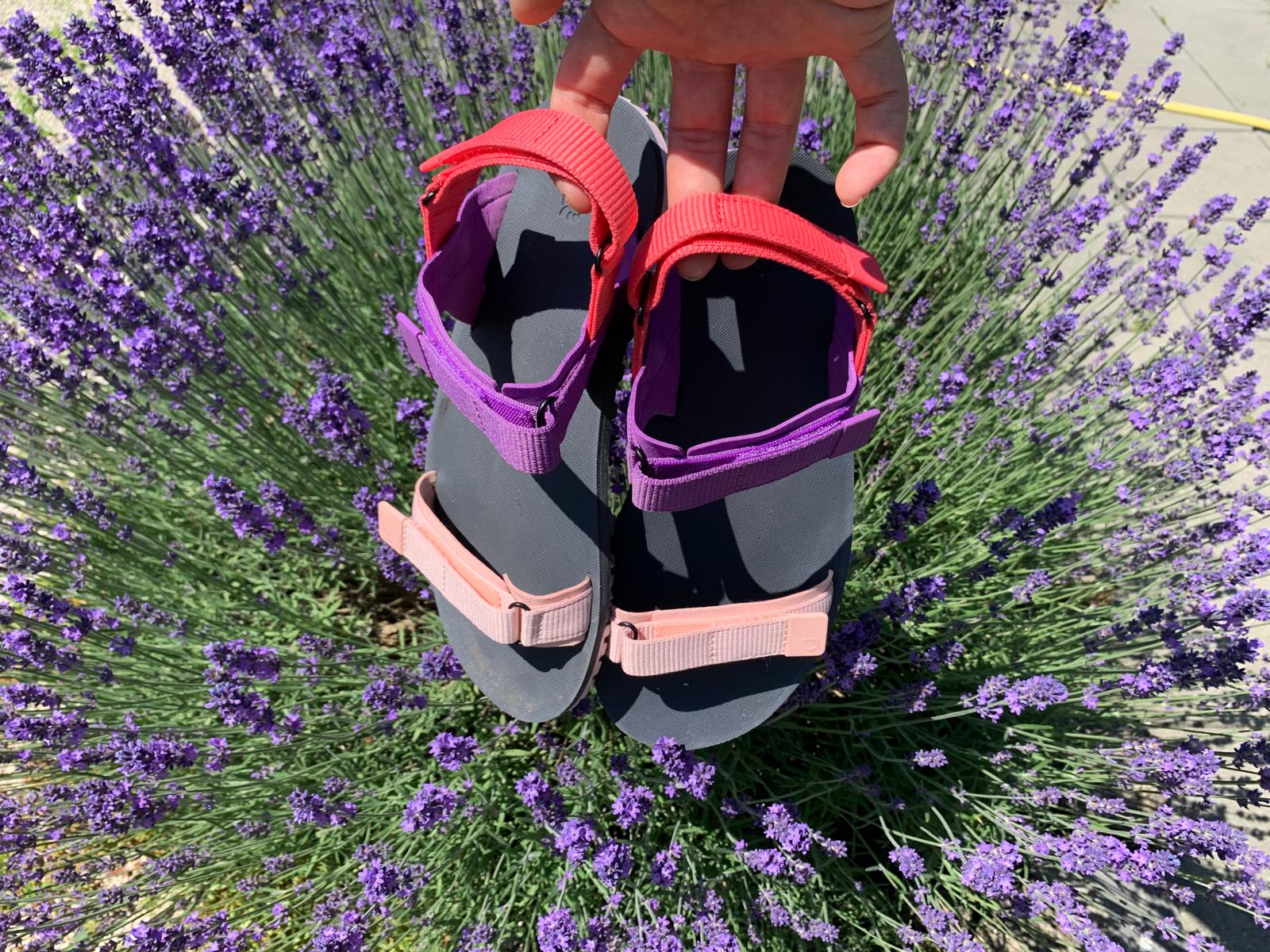 XERO Shoes