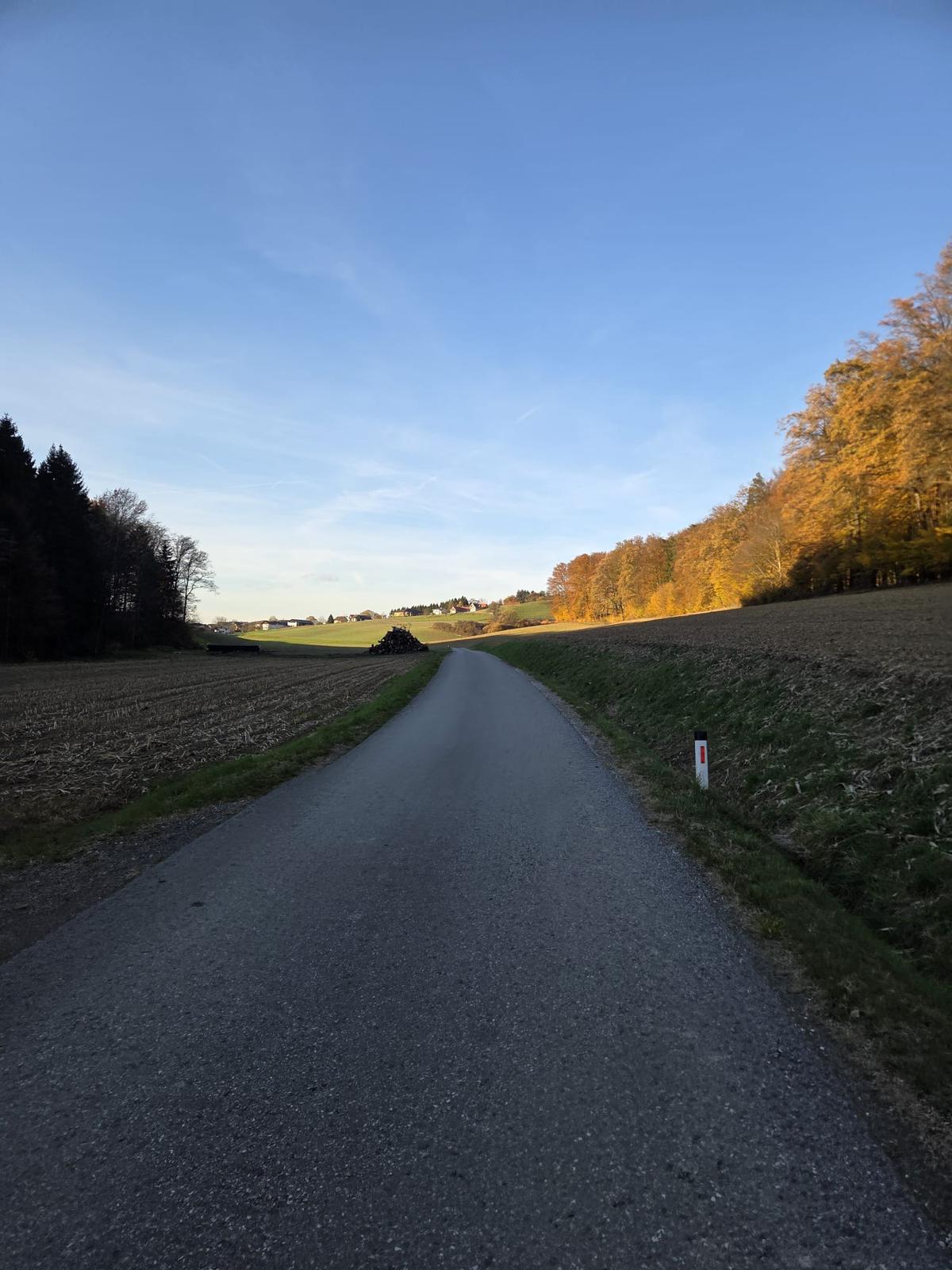 Der OUTSIDEstories-Test: JOMA R1000 - Laufschuhe, Herren
