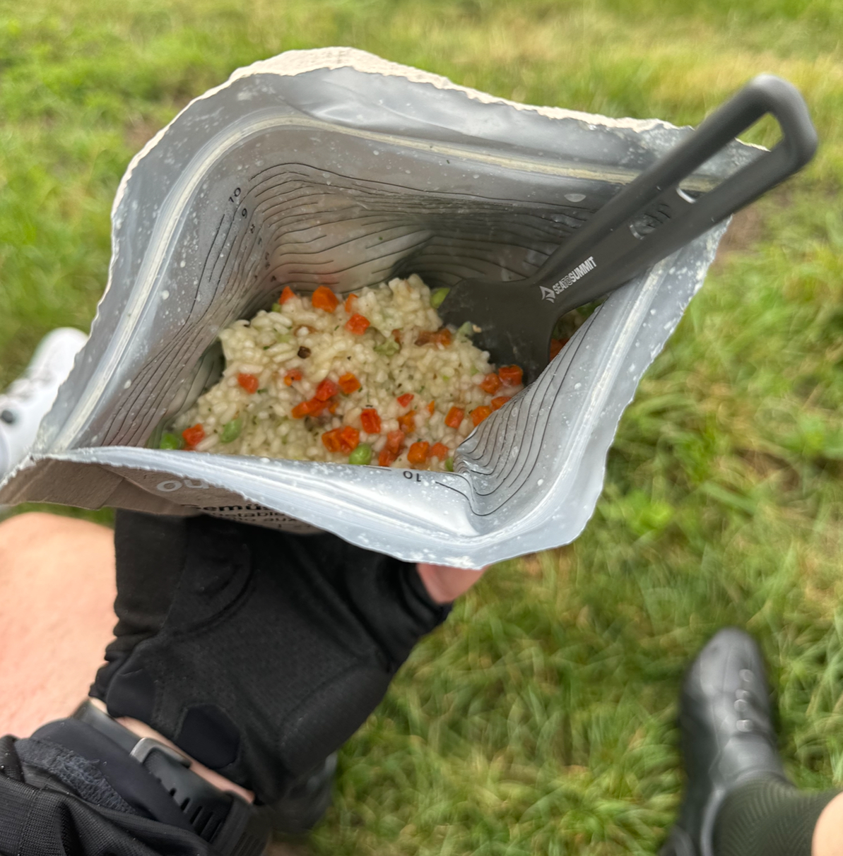 Risotto