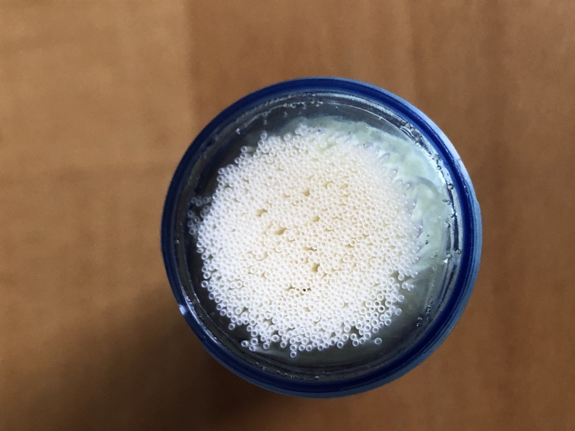 Lifestraw