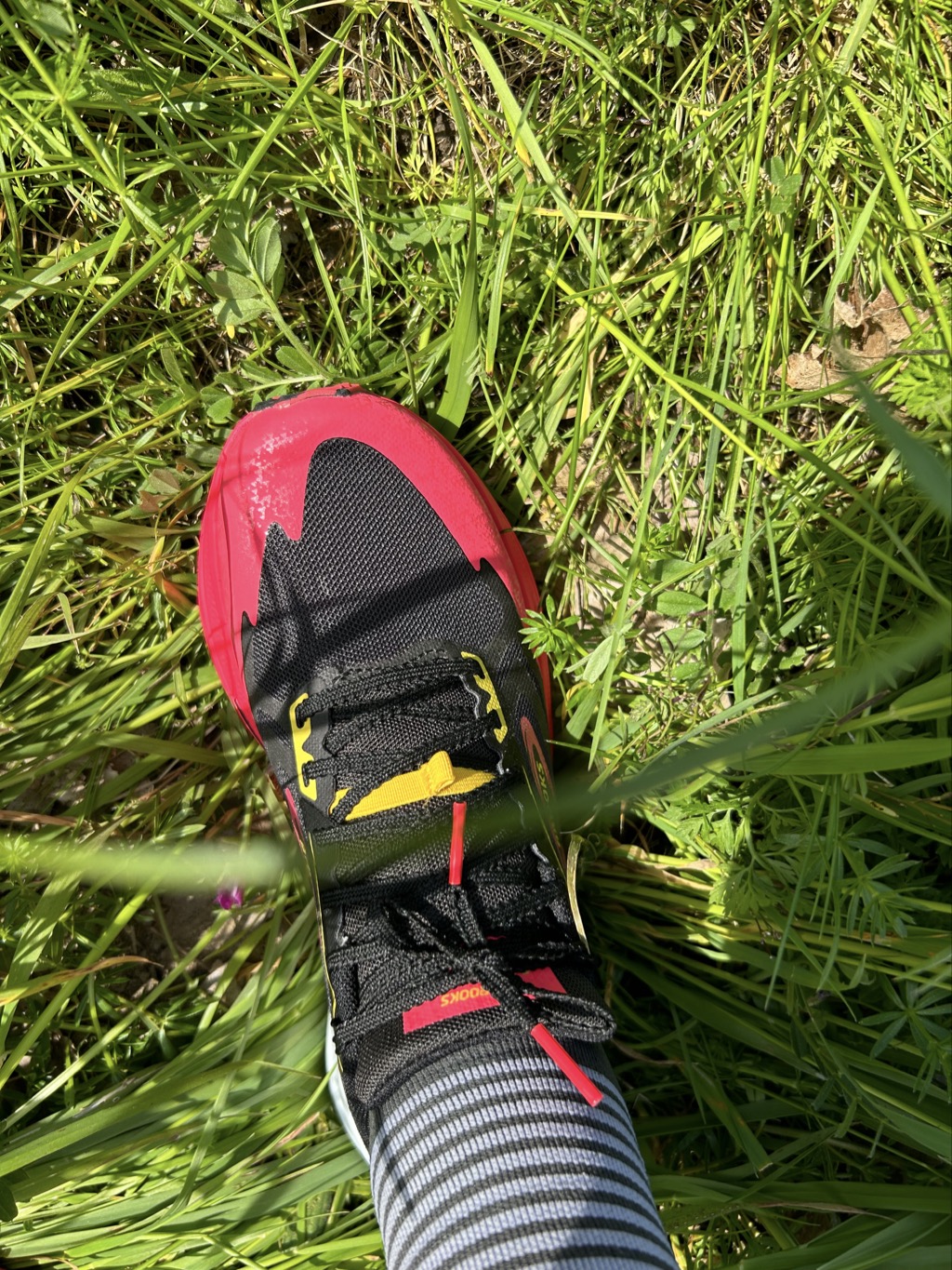 G