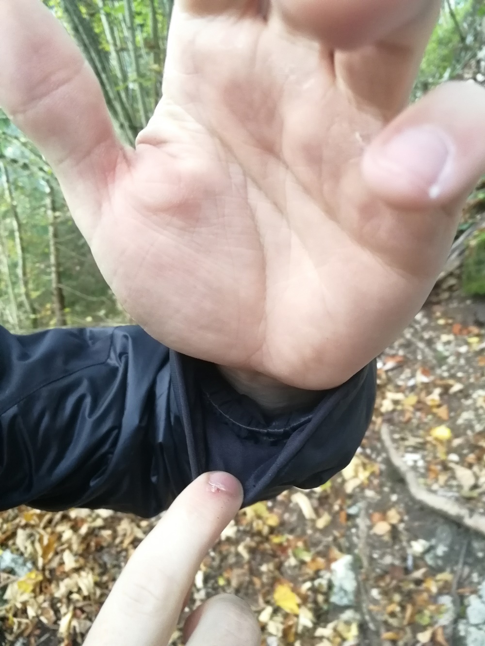 Klättermusen_12