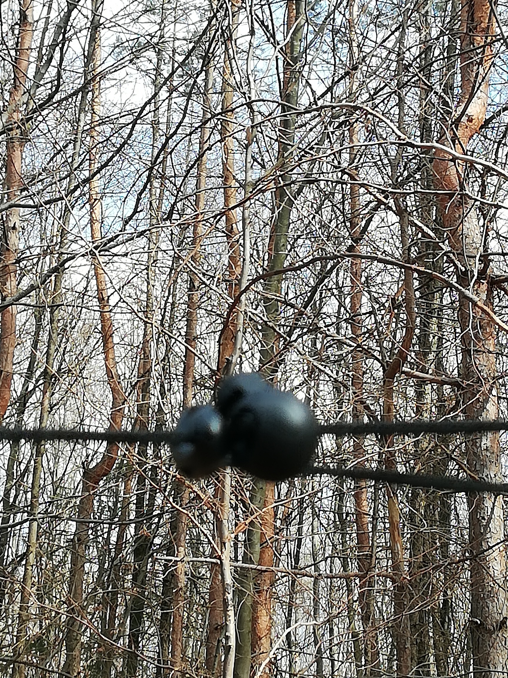 Aufhängung