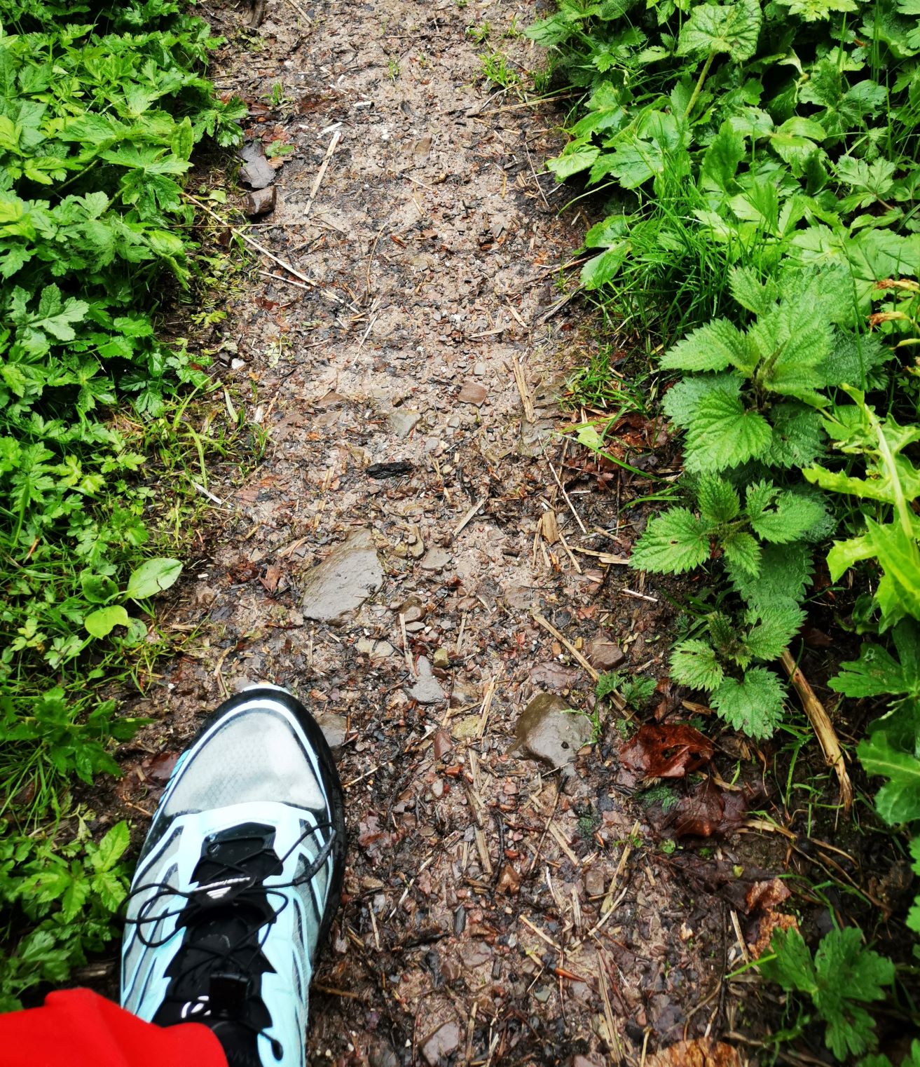 Wanderweg