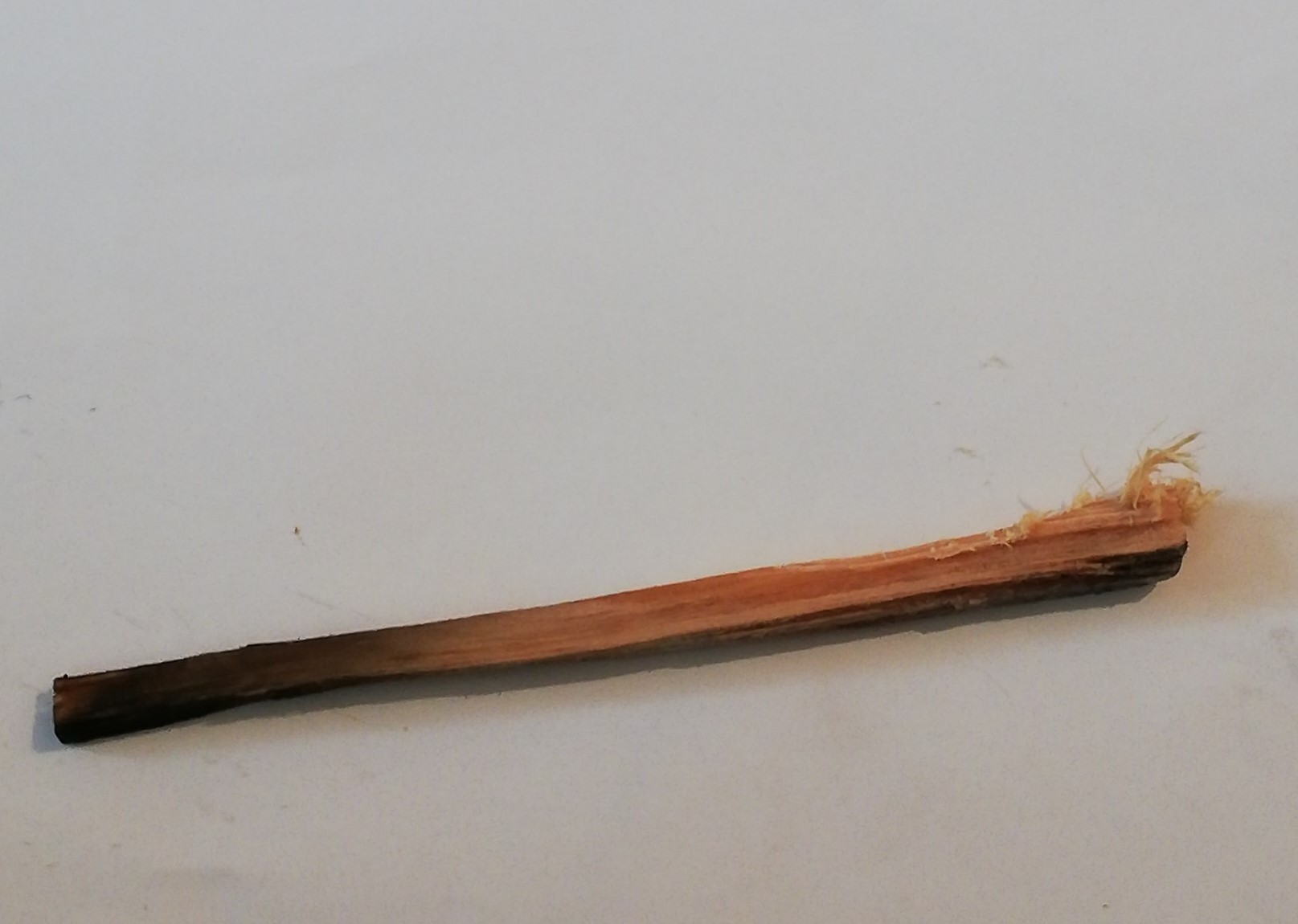 Holzstück