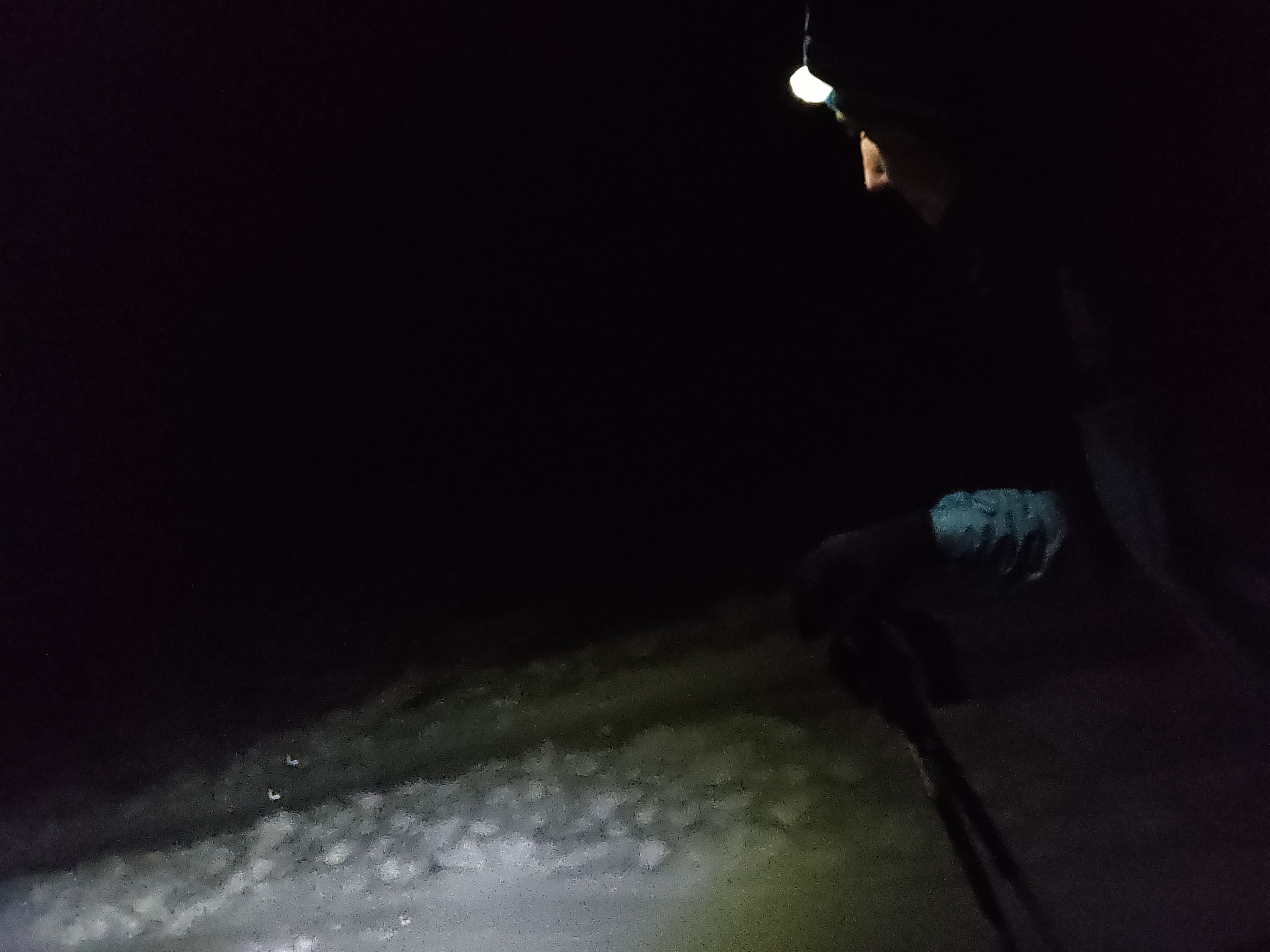 im Schnee