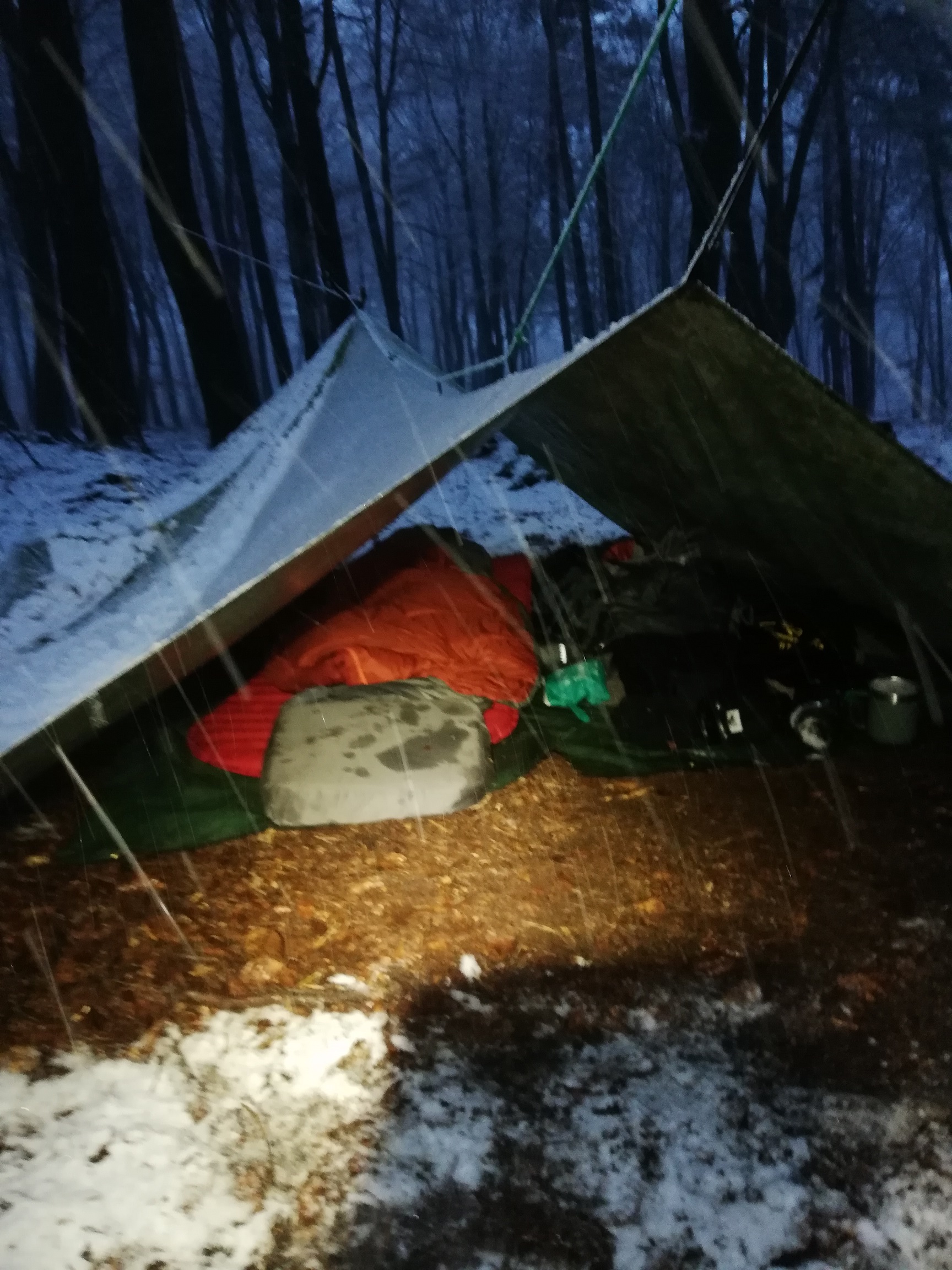 Schneefall im Wald
