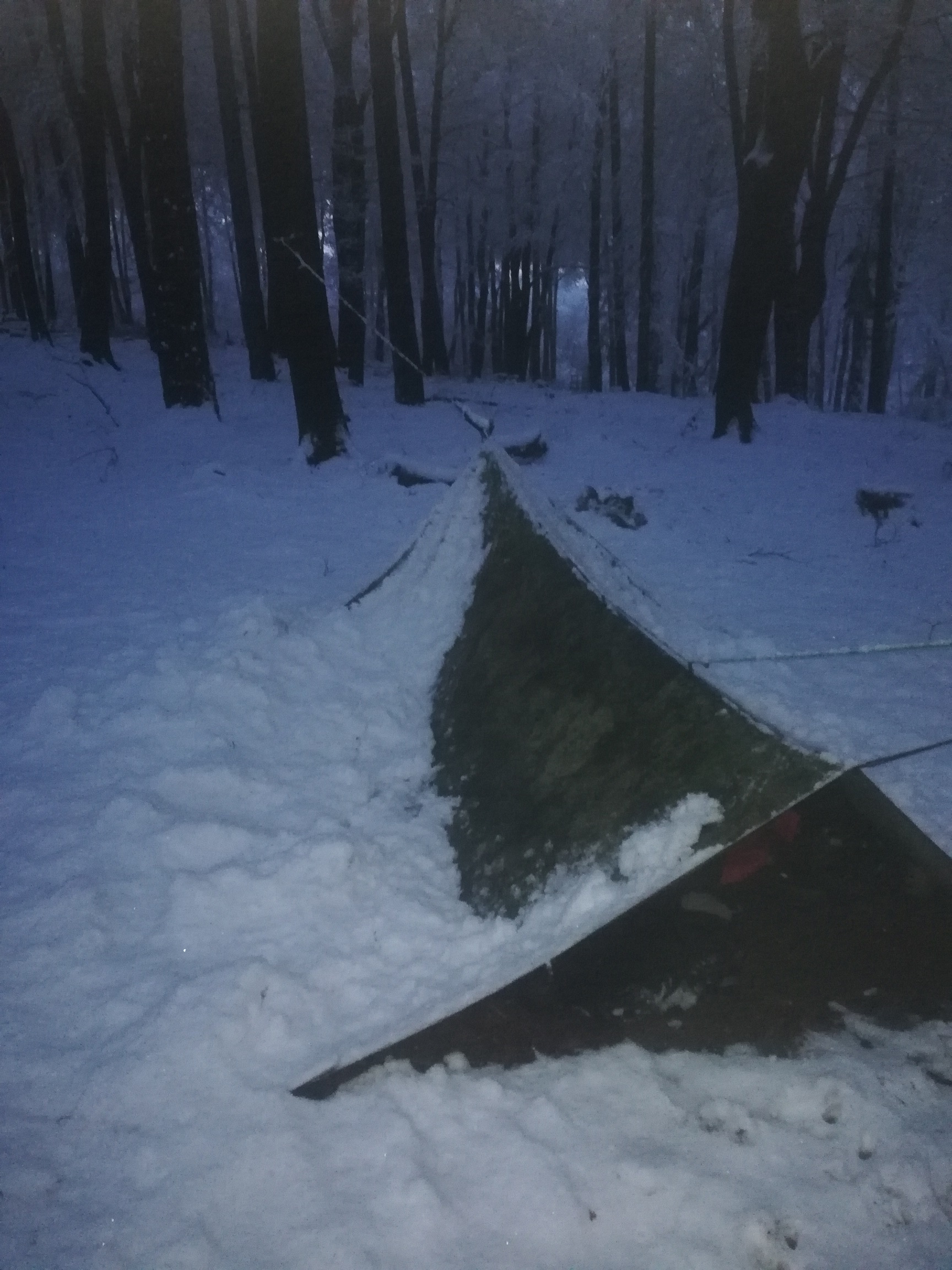 Tarp und Schnee