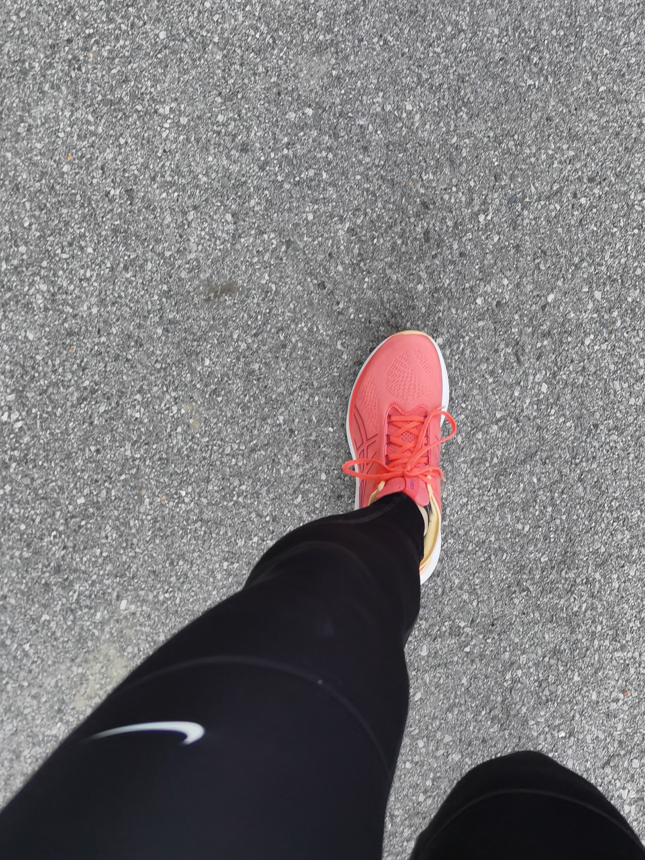 Laufbild