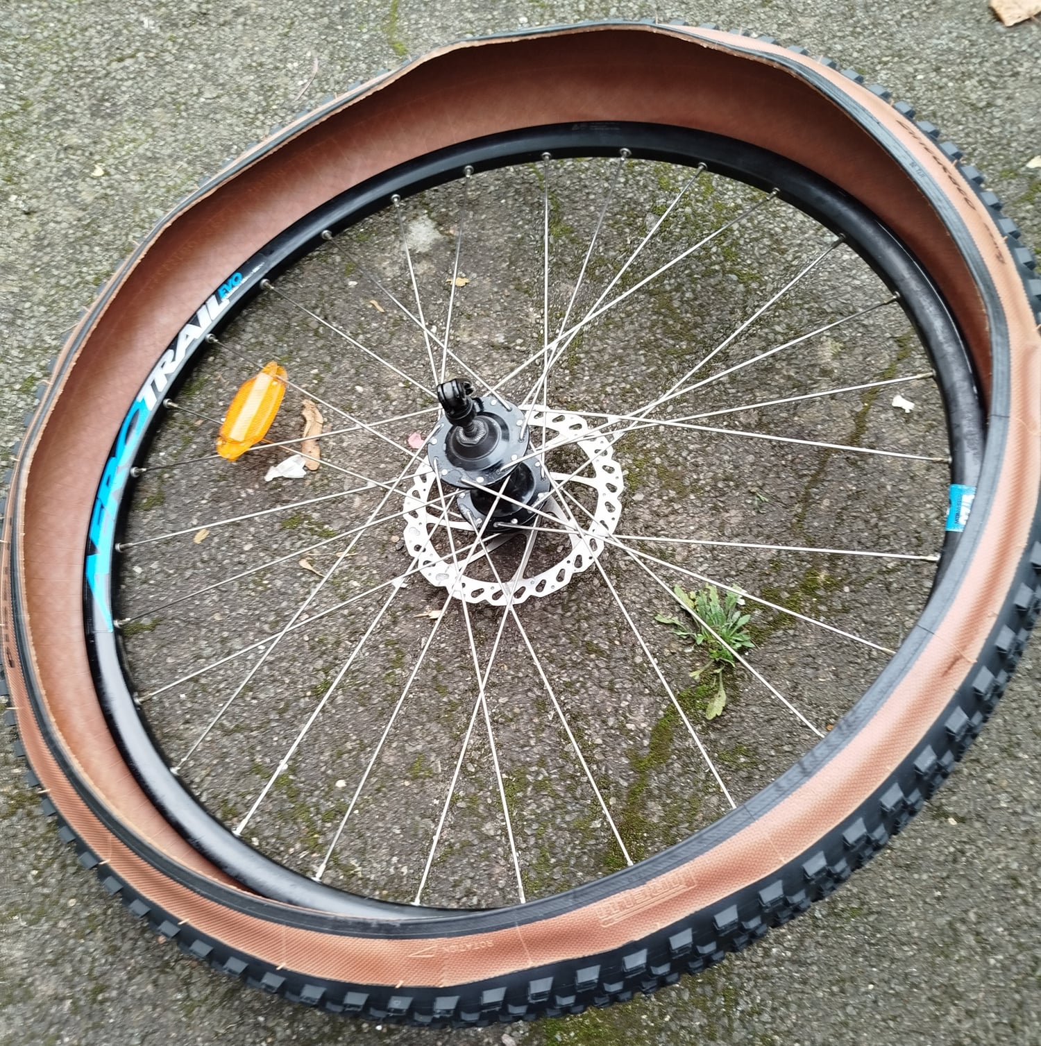 Pirelli Cinturato Gravel S 12