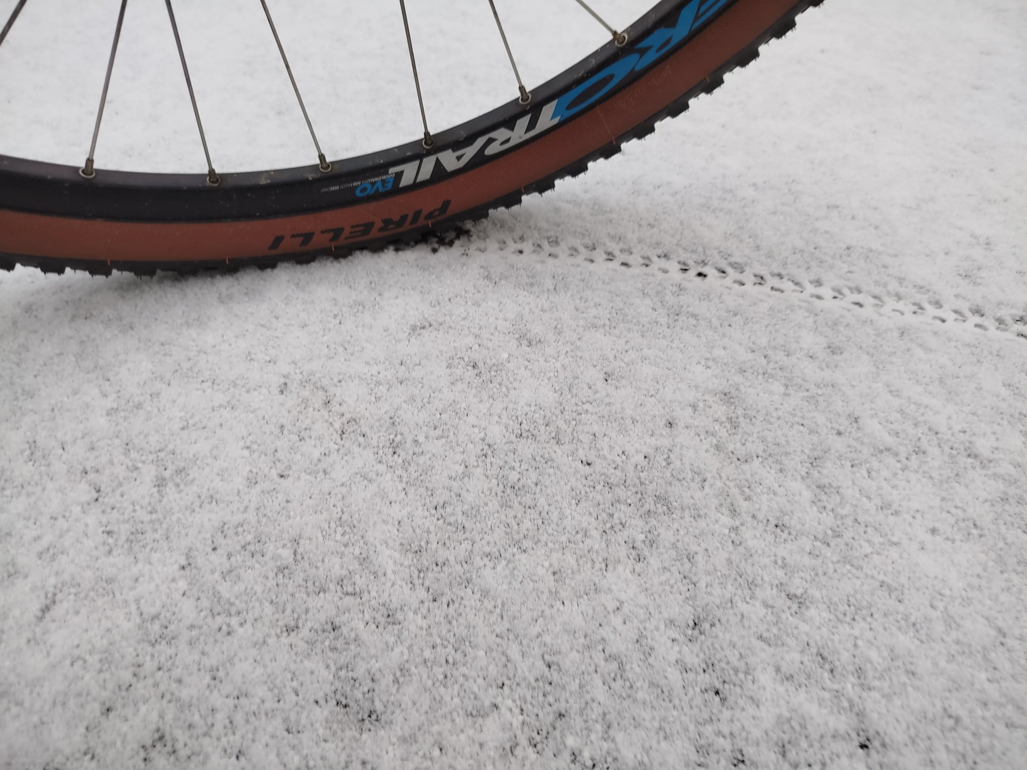 Pirelli Cinturato Gravel S 19