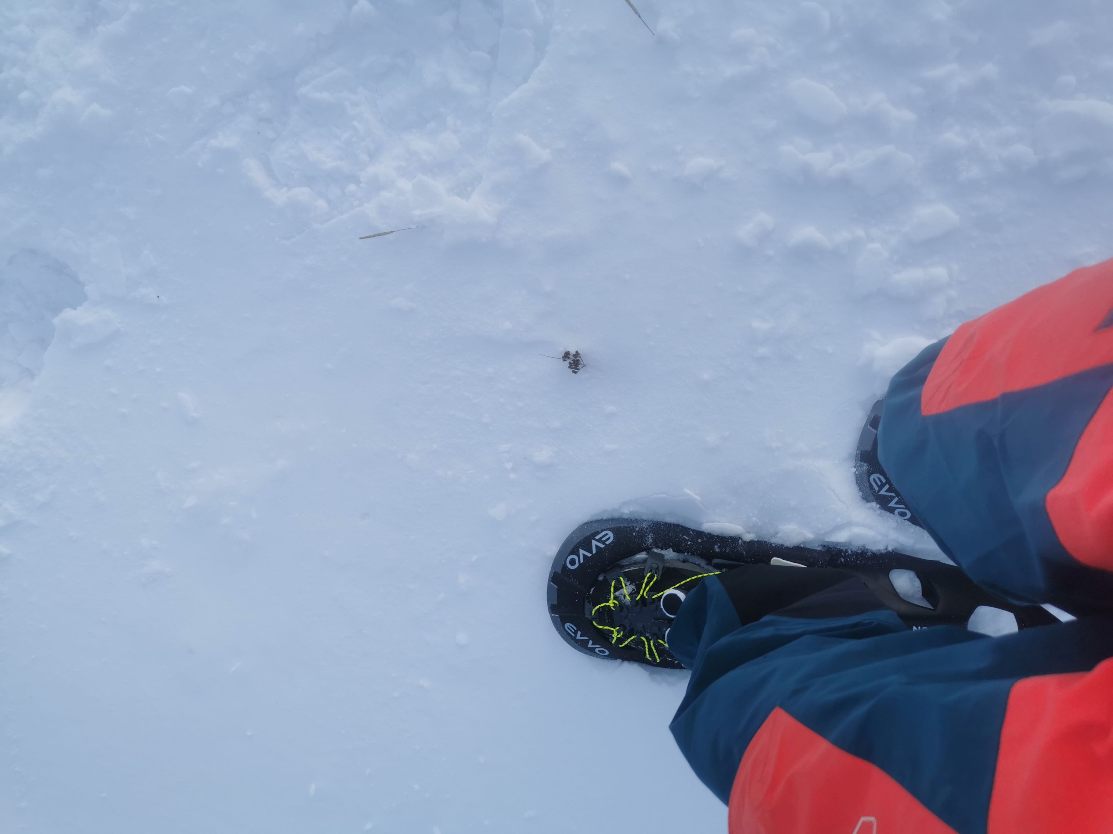 OUTSIDEstories Test: EVVO Nordée Compact