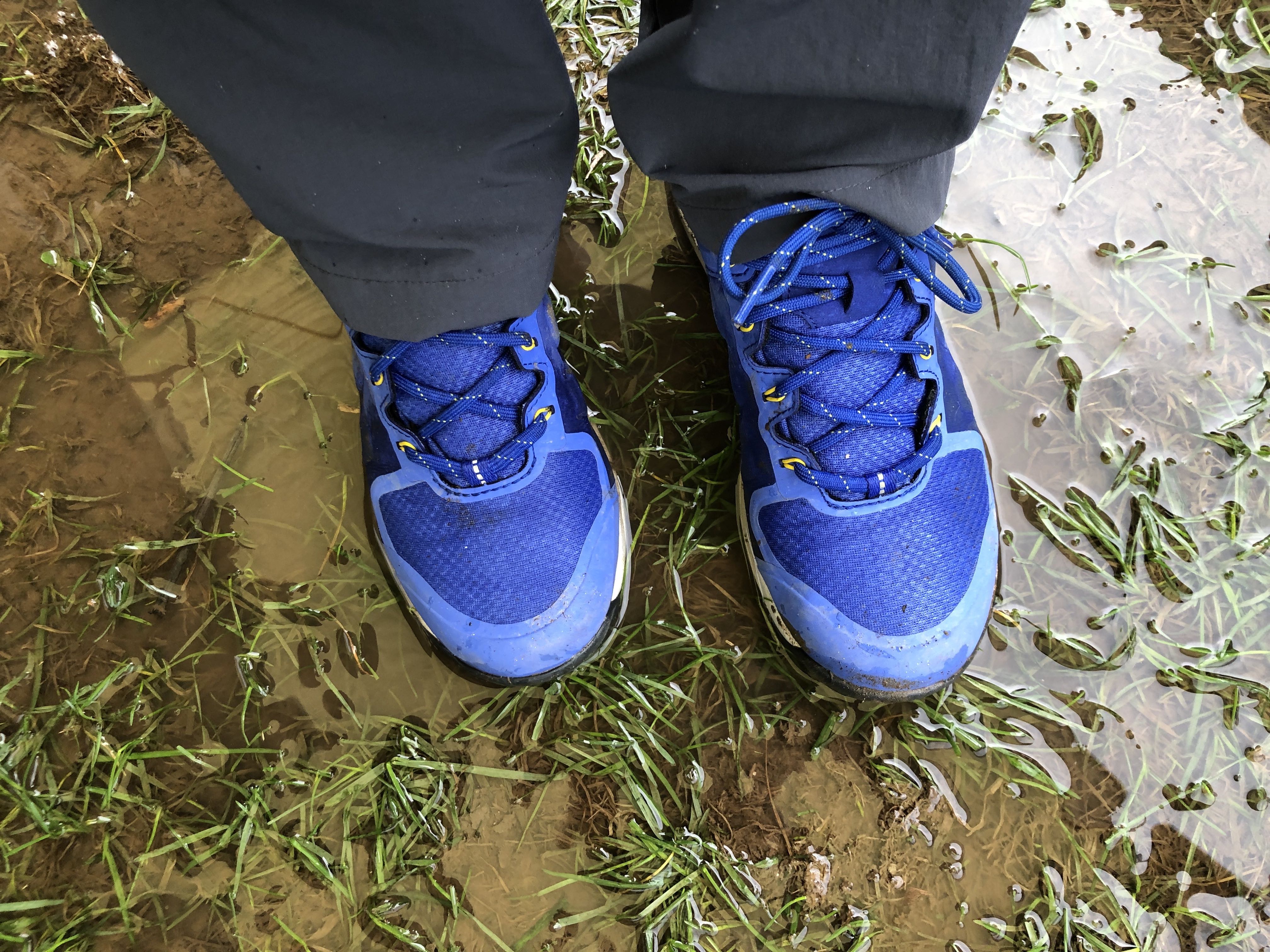 Die Schuhe stehen in der nassen Wiese