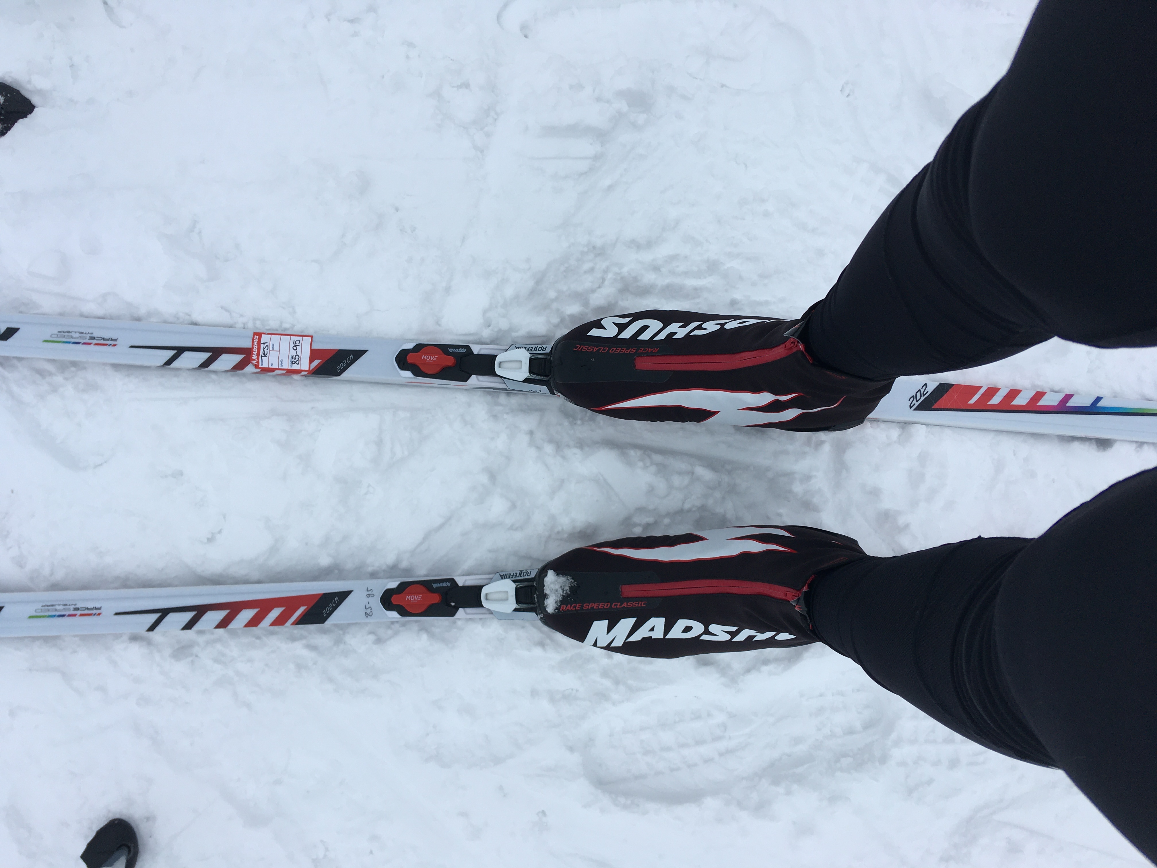 Ski