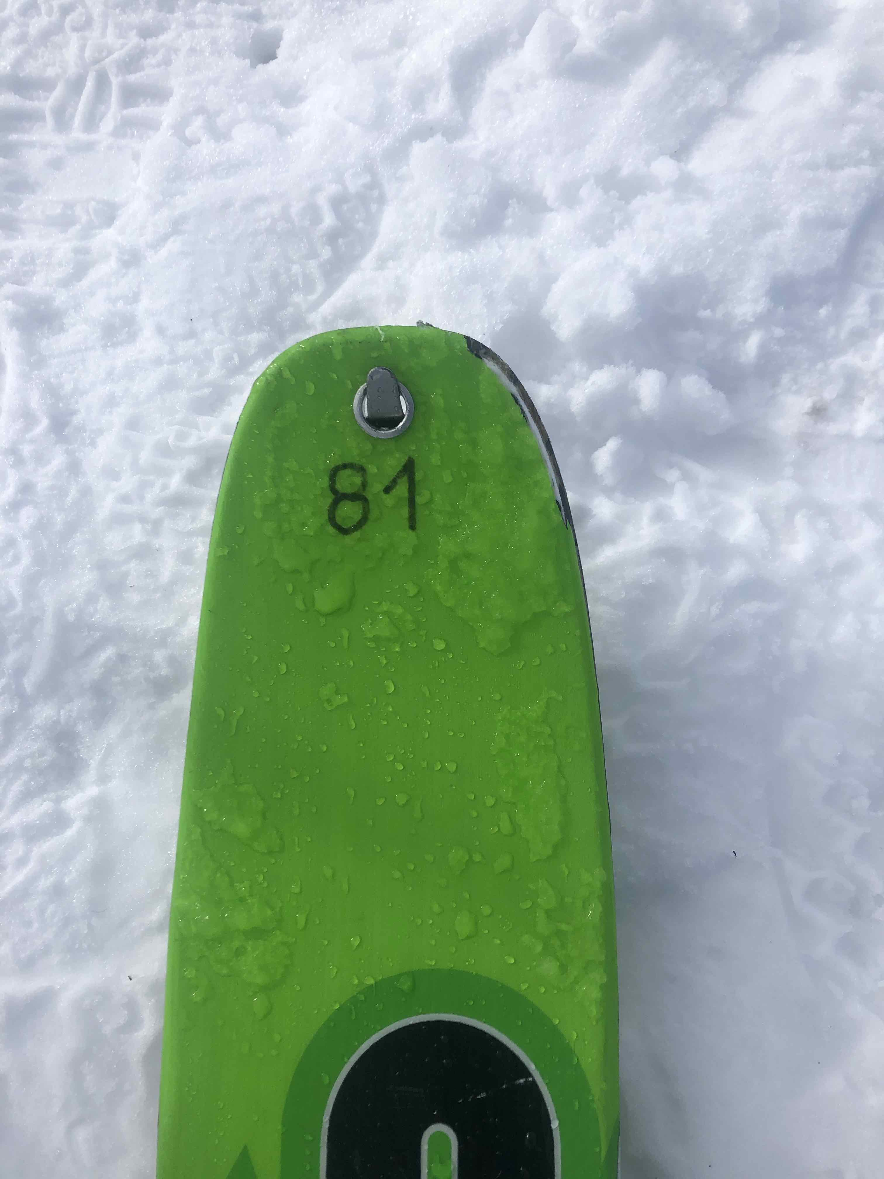 Skier-1