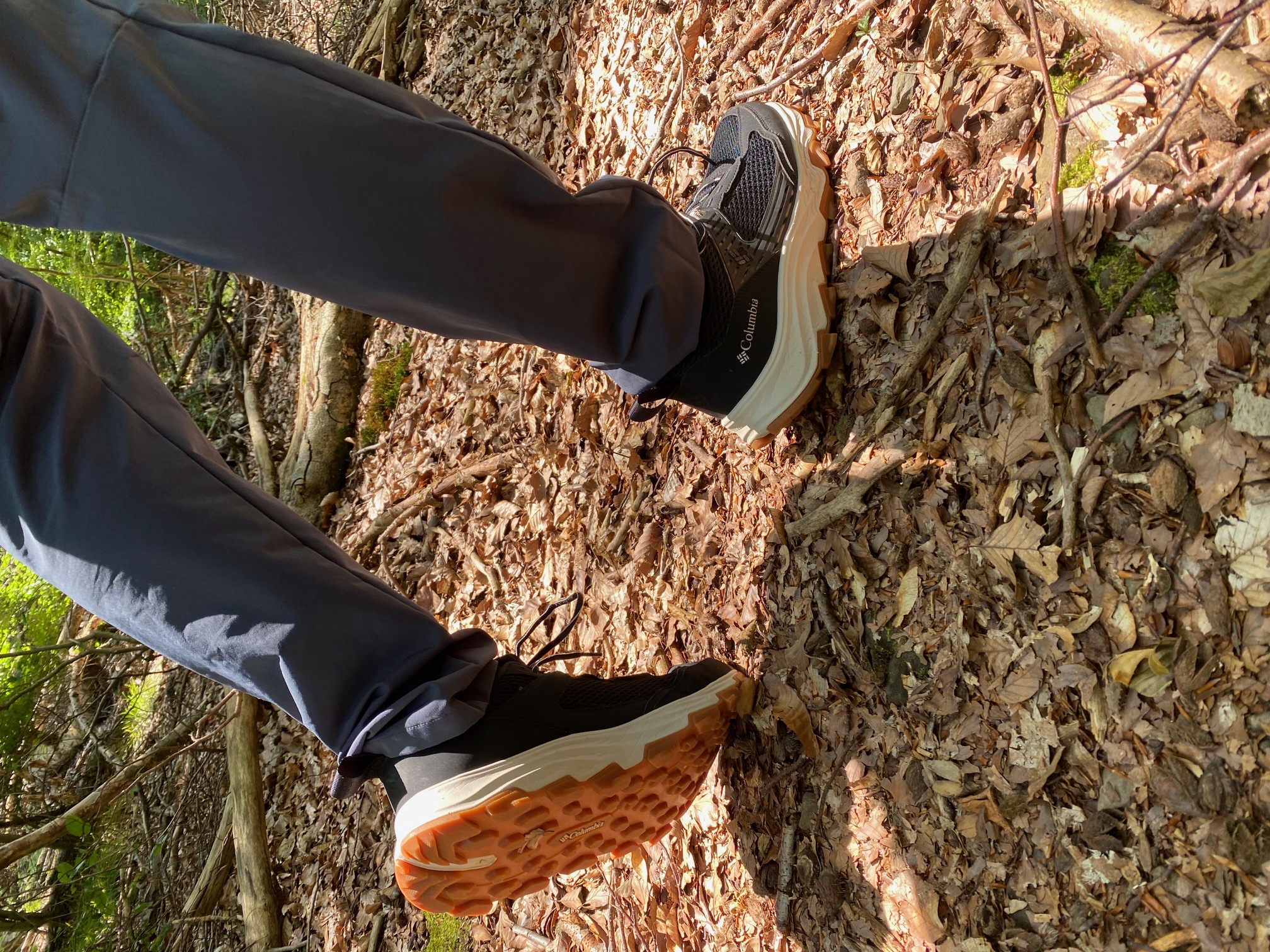 Spaziergang im Wald
