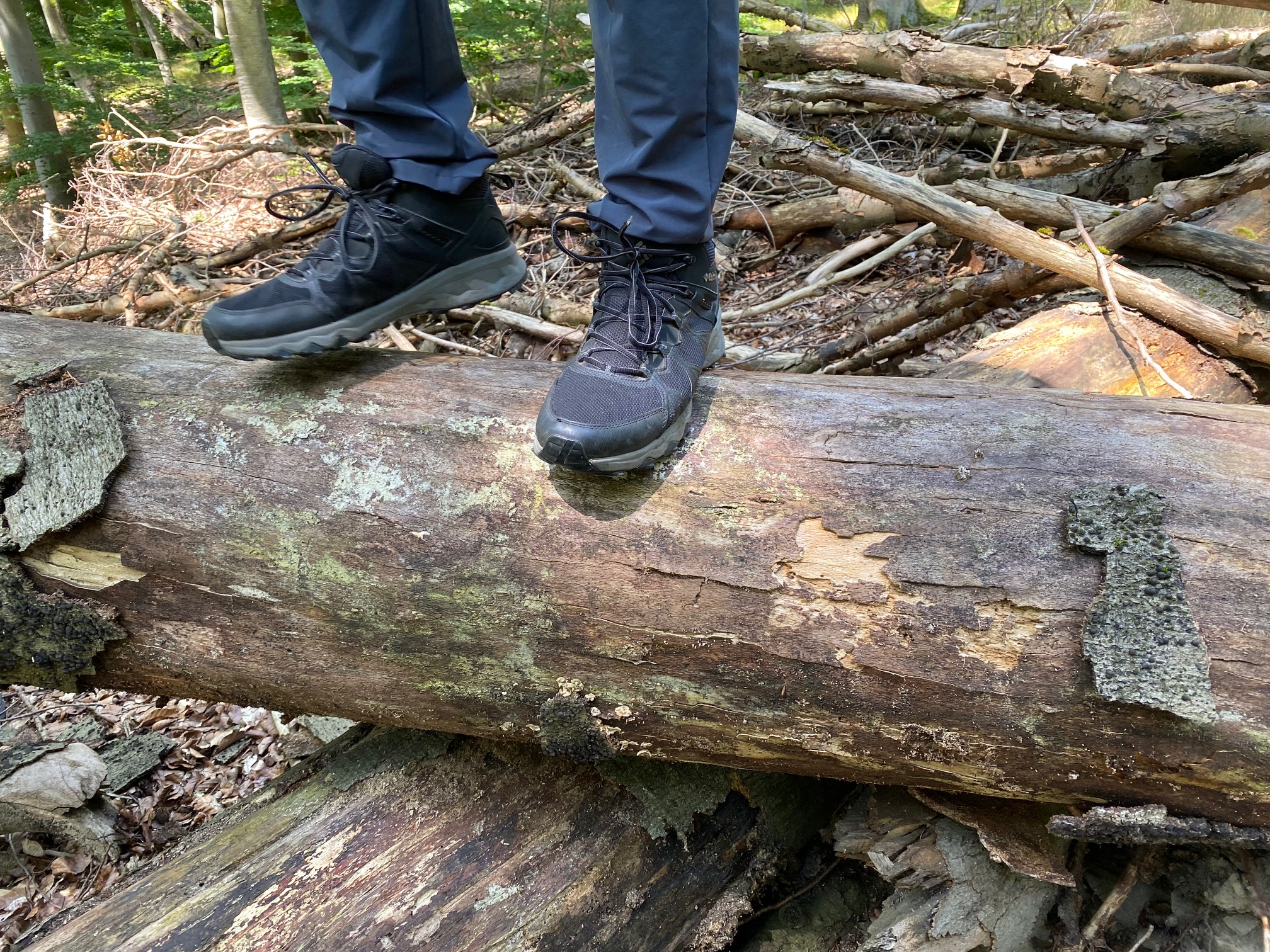 Schuhe auf einem Stamm