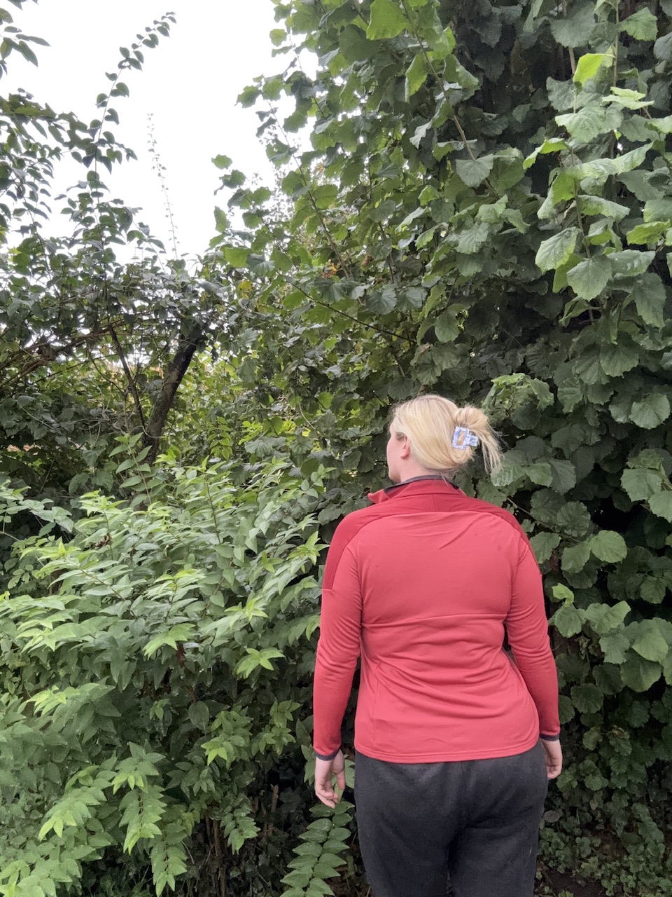 Jacke hinten angezogen