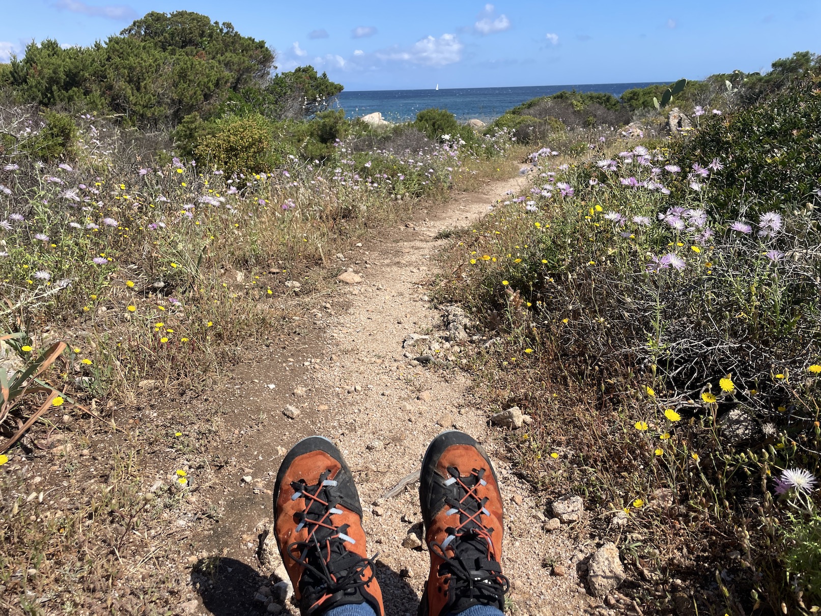 Rock DFS GTX Approach Schuh beim Wandern