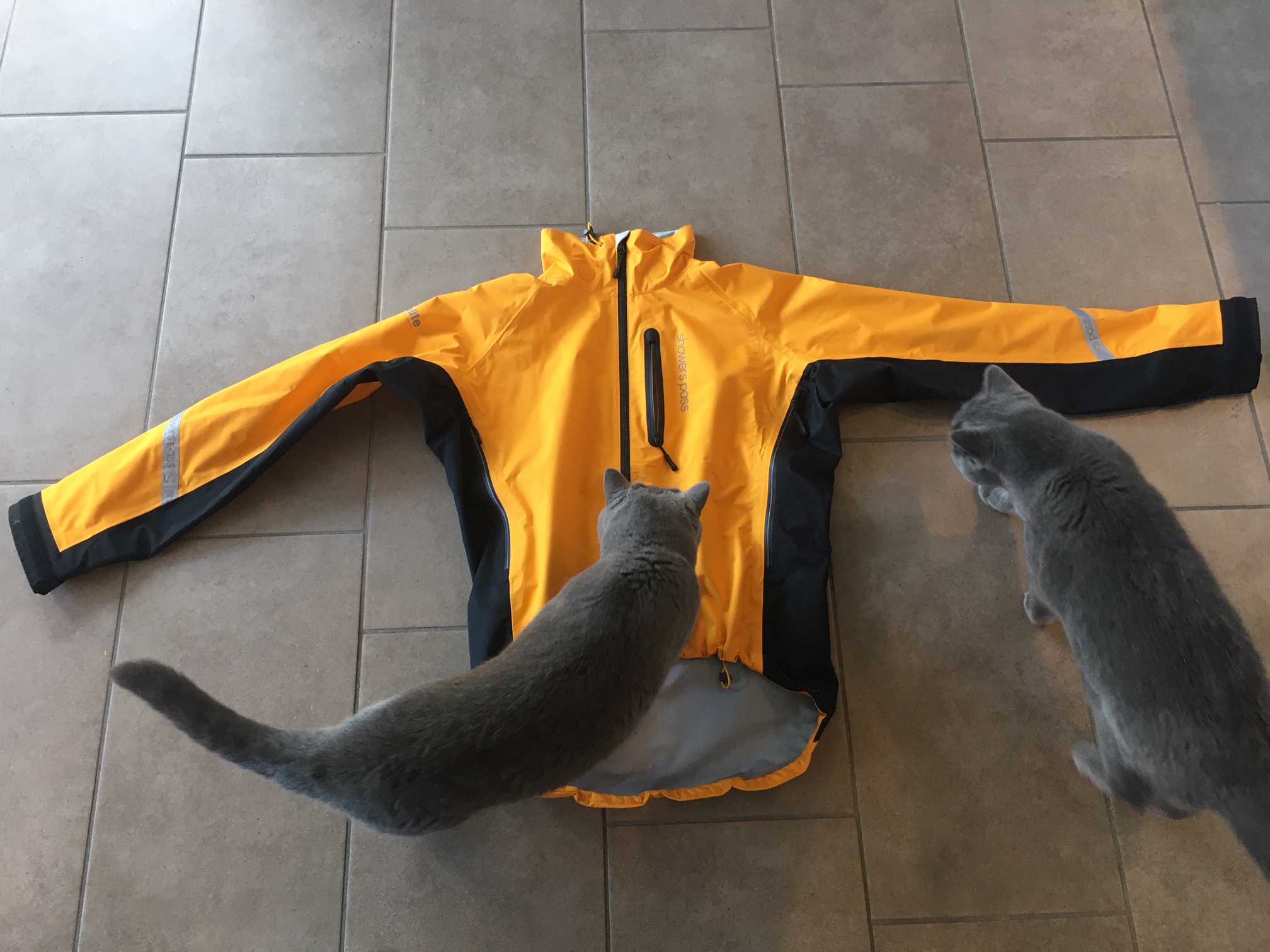 Jacke