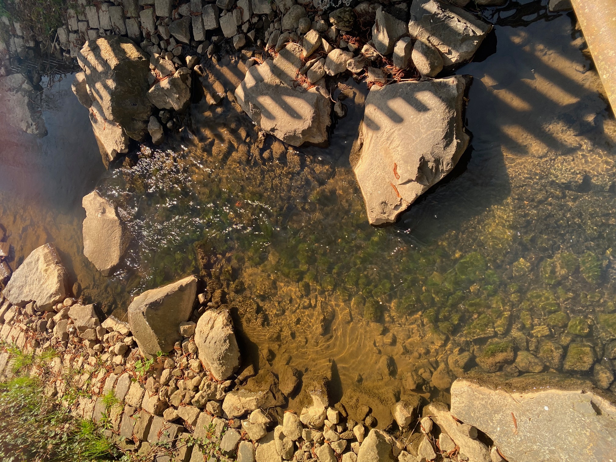 Wasser mit Brille