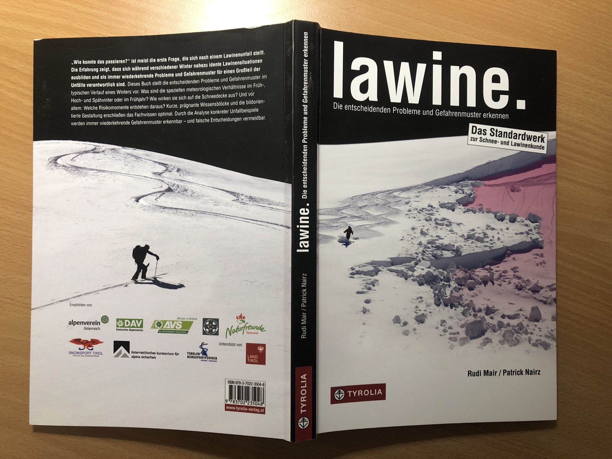 Lawine.