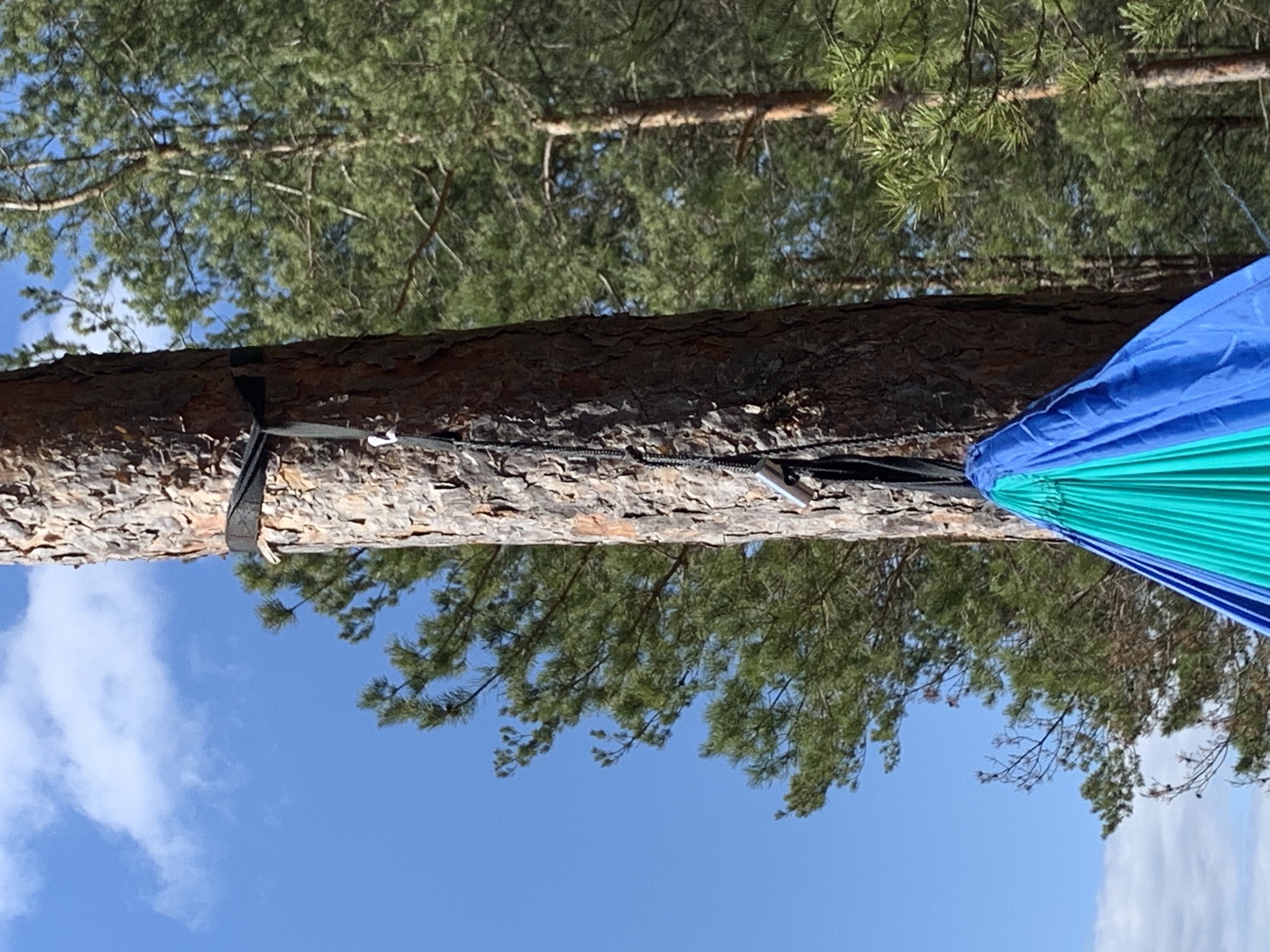 Adventure Hammock