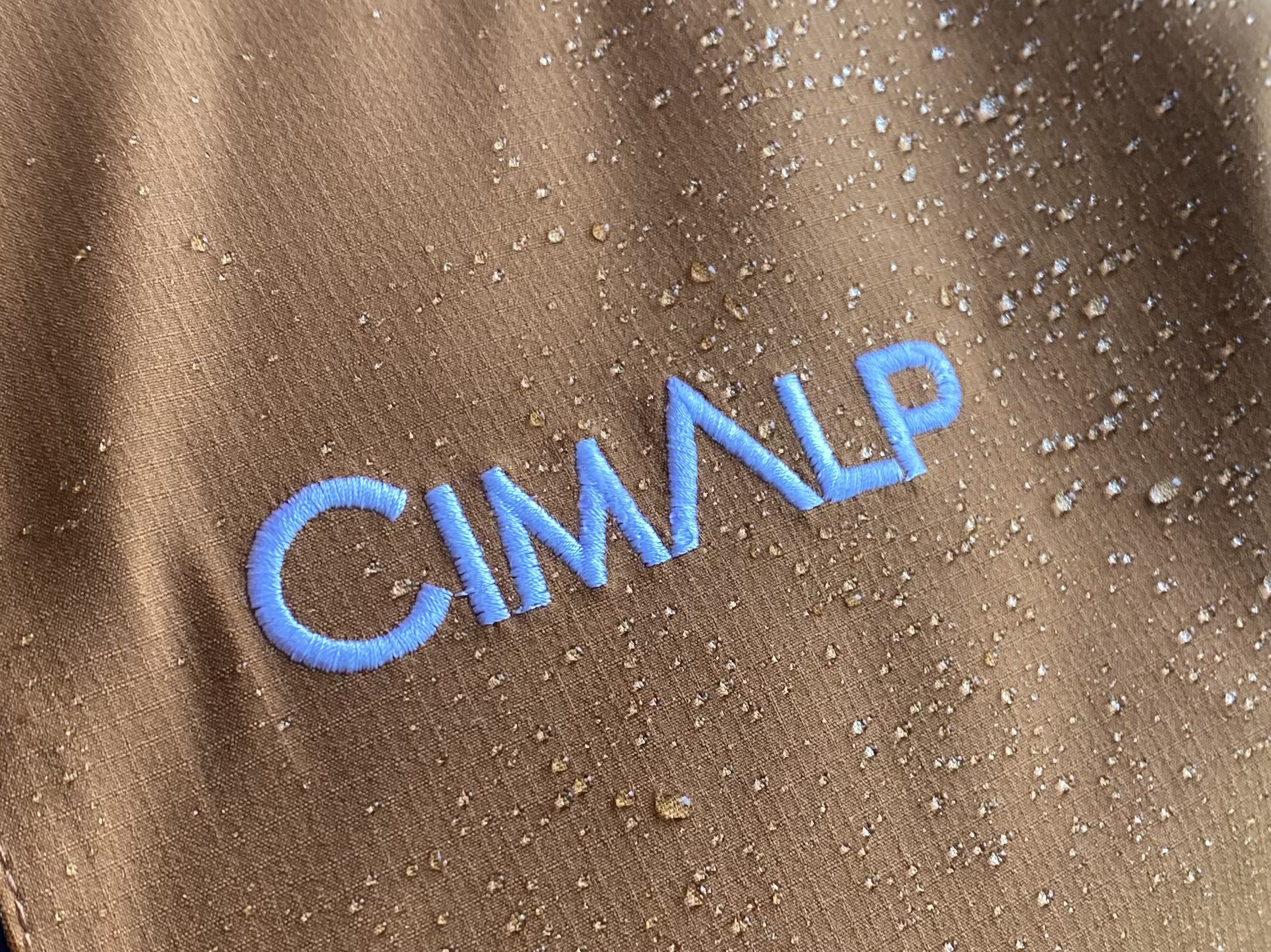 CimAlp Logo