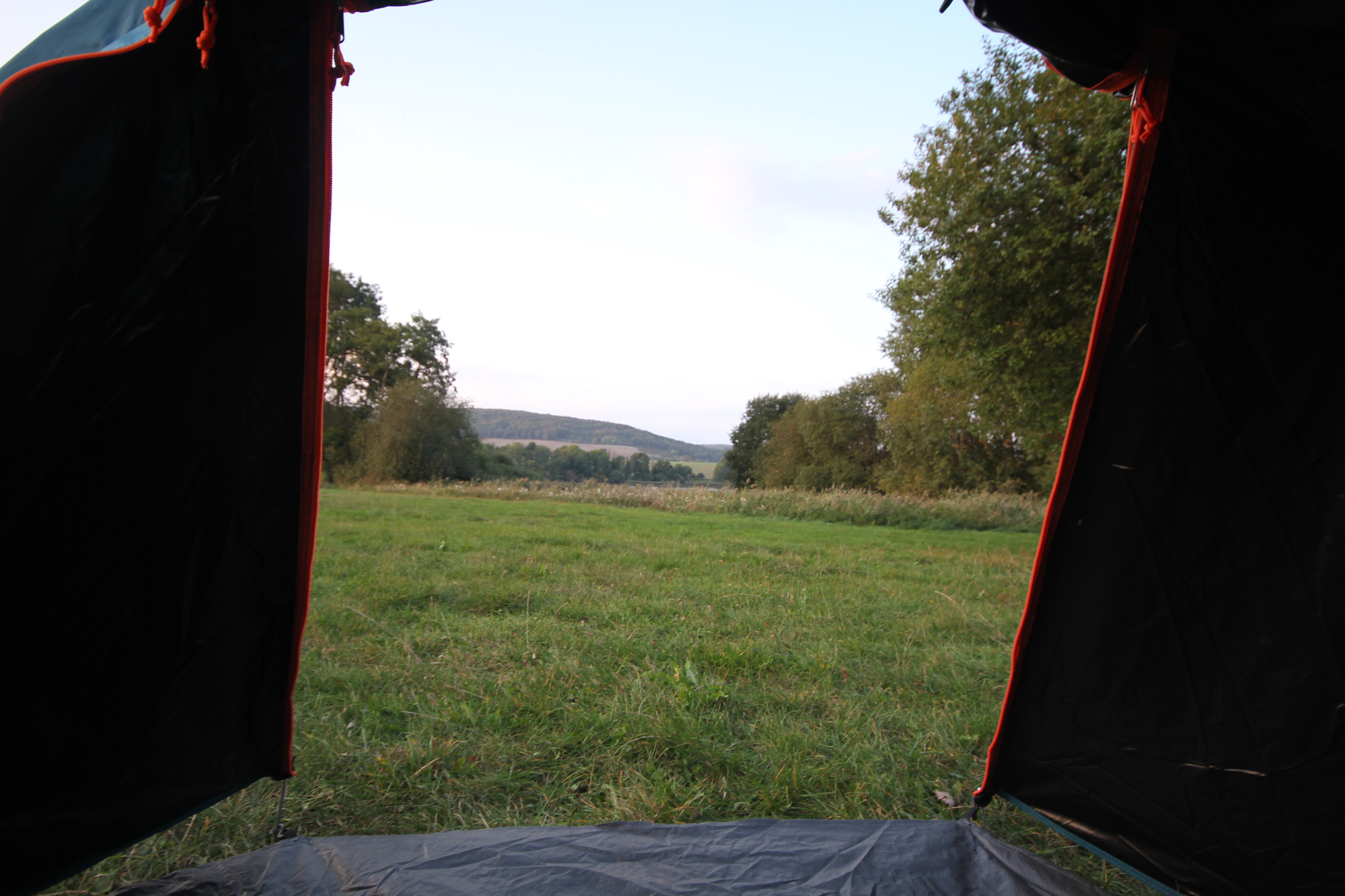 Ausblick