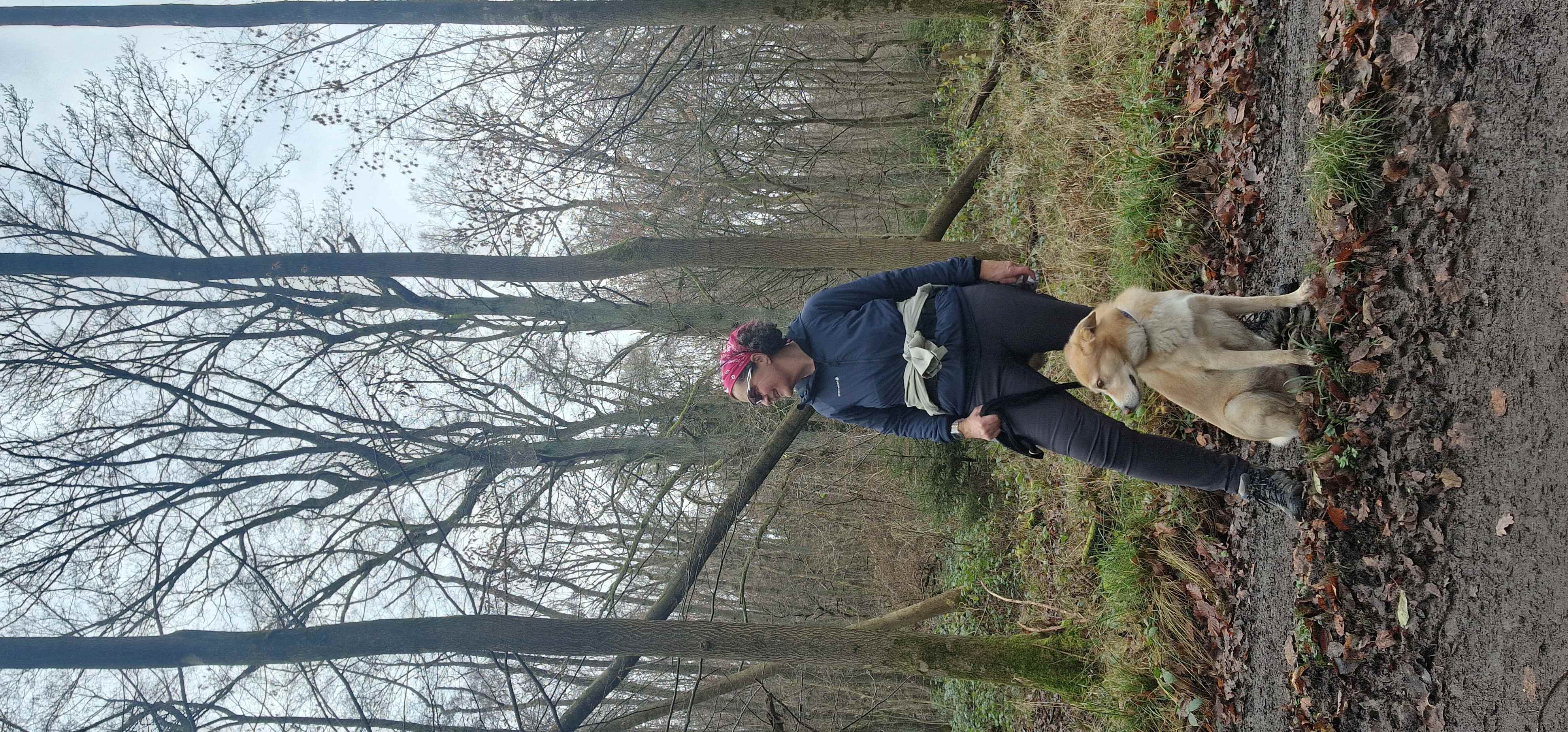 Täglich Wandern mit Hund, egal bei welchem Wetter.
