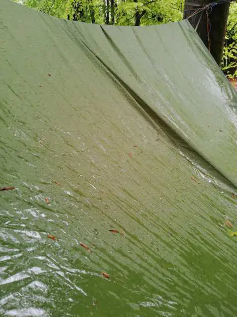 Das Tarp bei Regen
