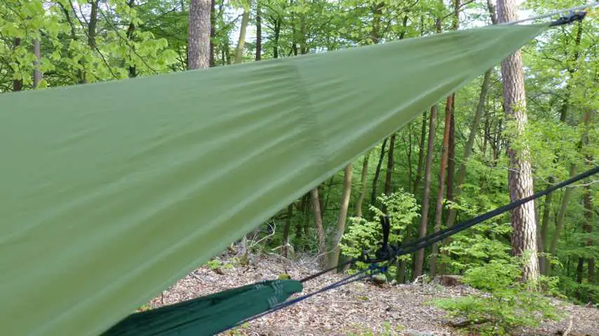 Tarp