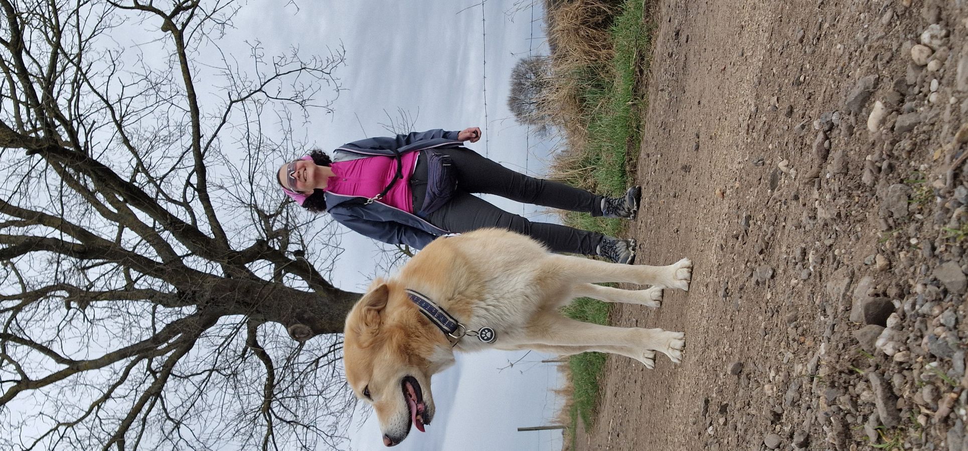 Unterwegs mit Hund
