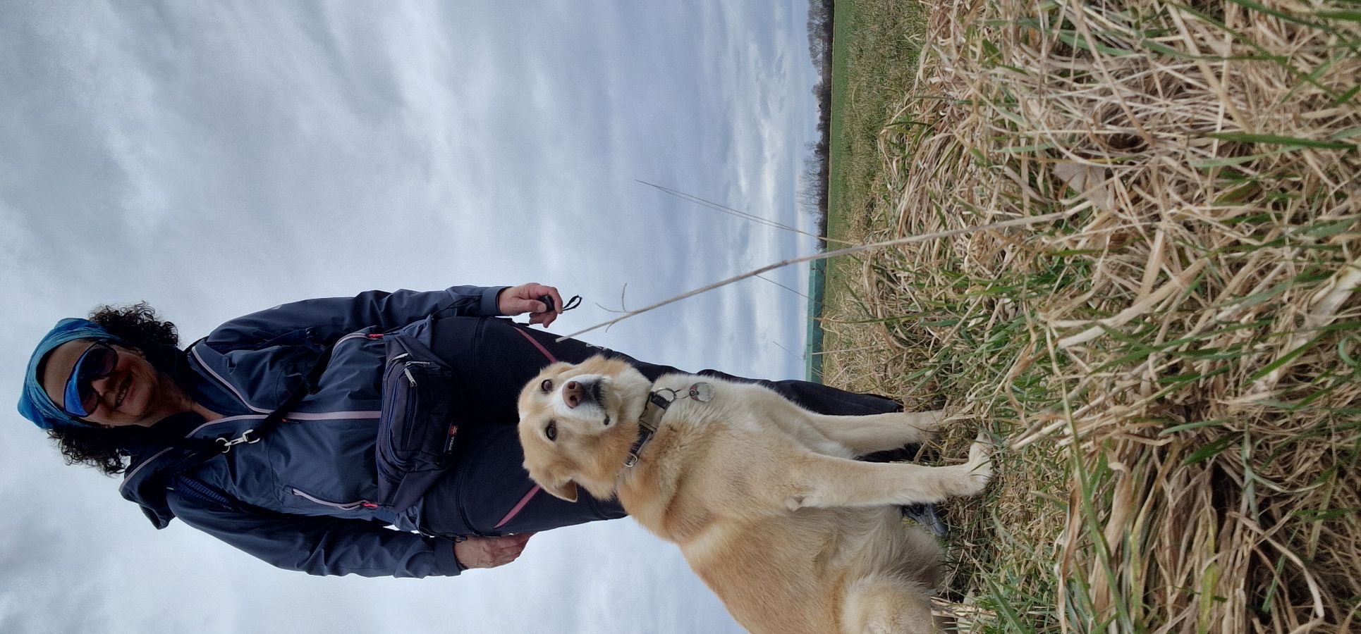 Unterwegs mit Hund bei Wind und Regen