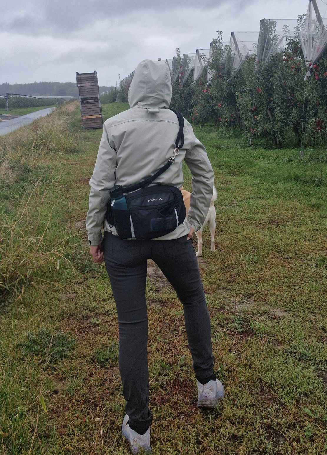 von hinten