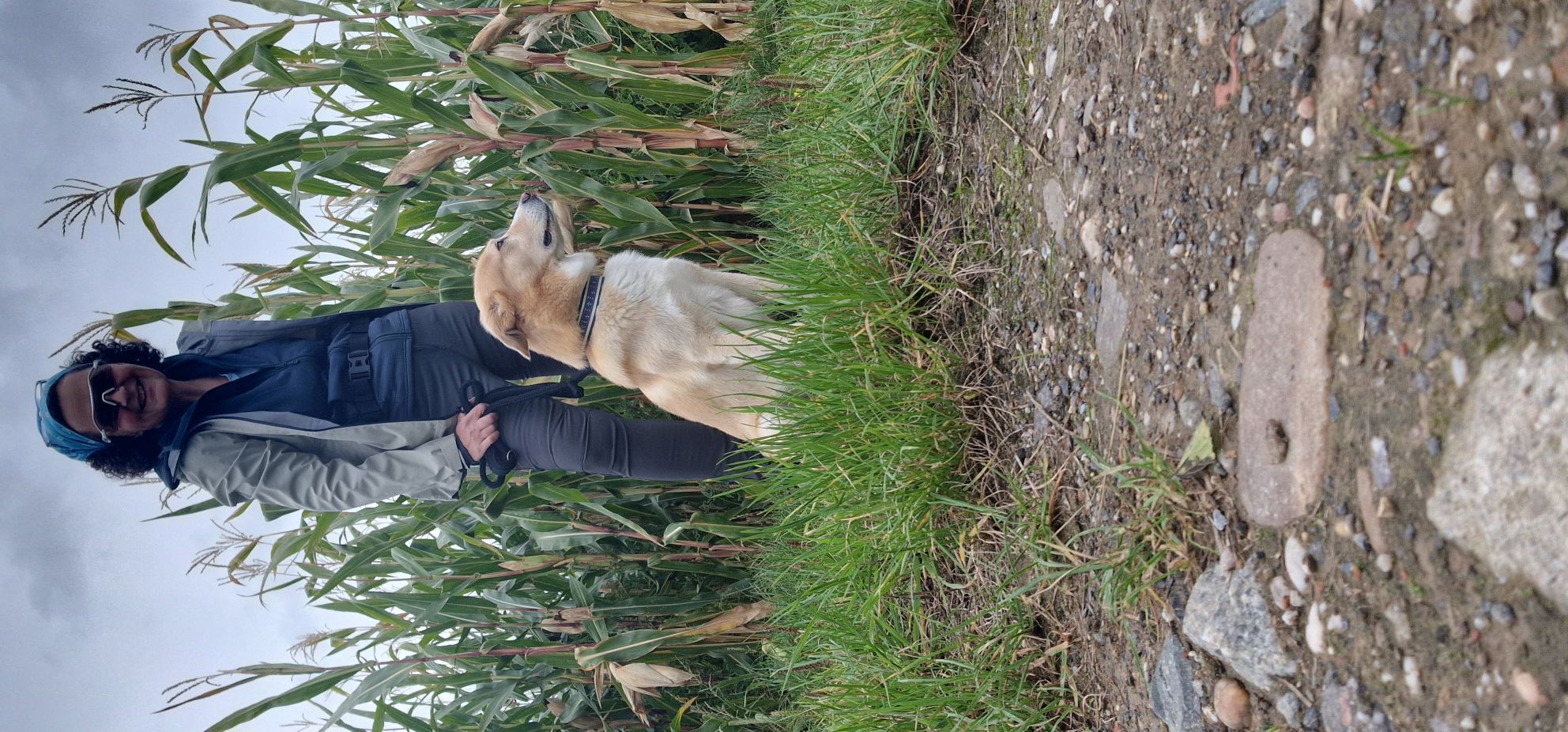 Unterwegs mit Hund