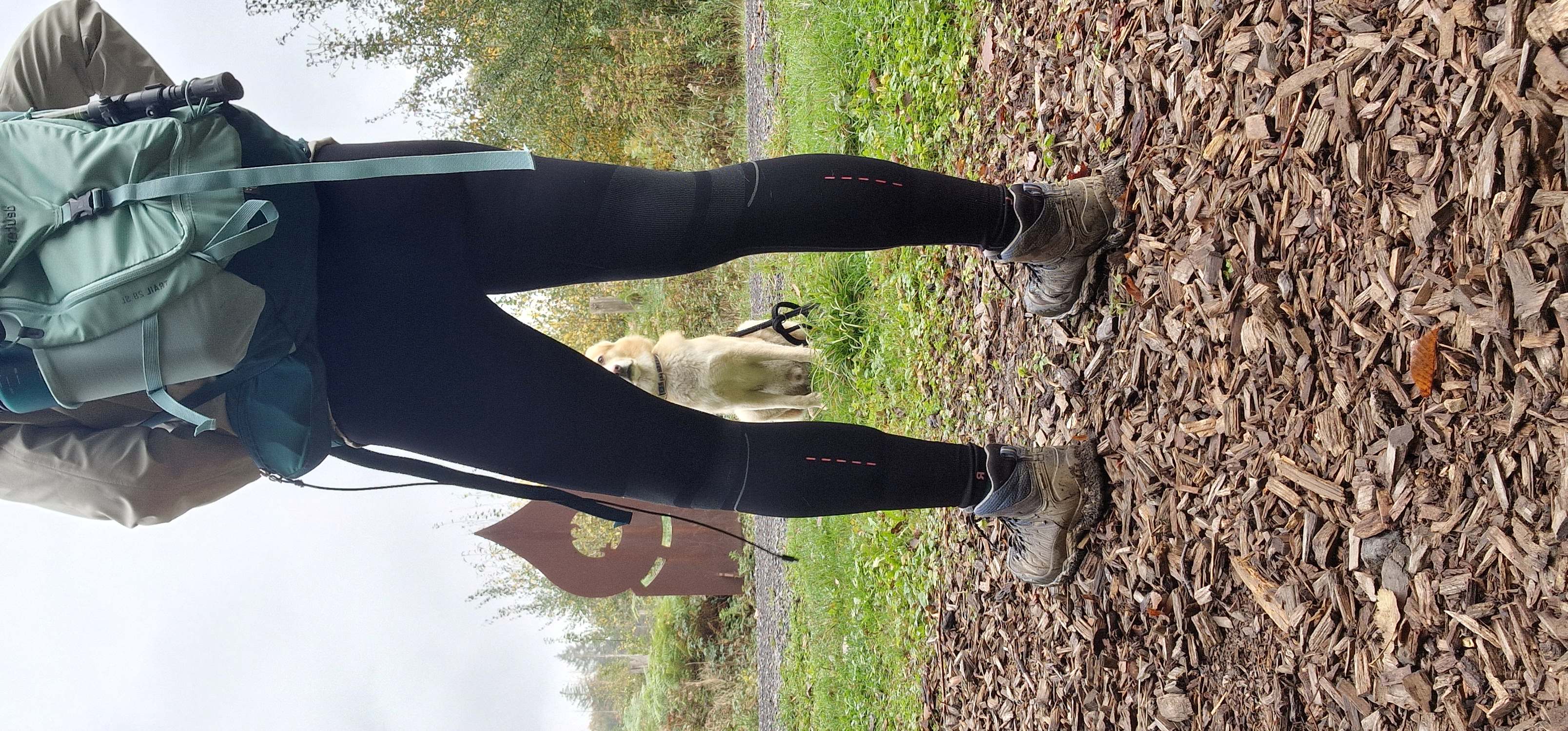 Wandern mit Hund