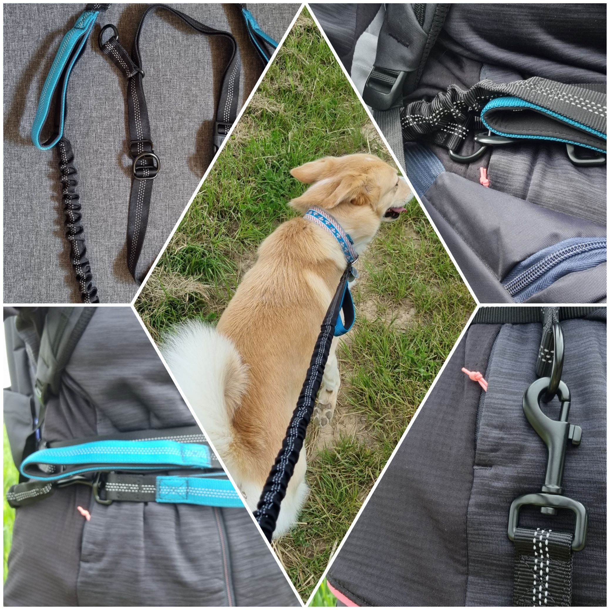 Ein toller Begleiter für das Wandern mit dem Hund. Freihandleine mit sehr gutem Preis-Leistung-Verhältnis.