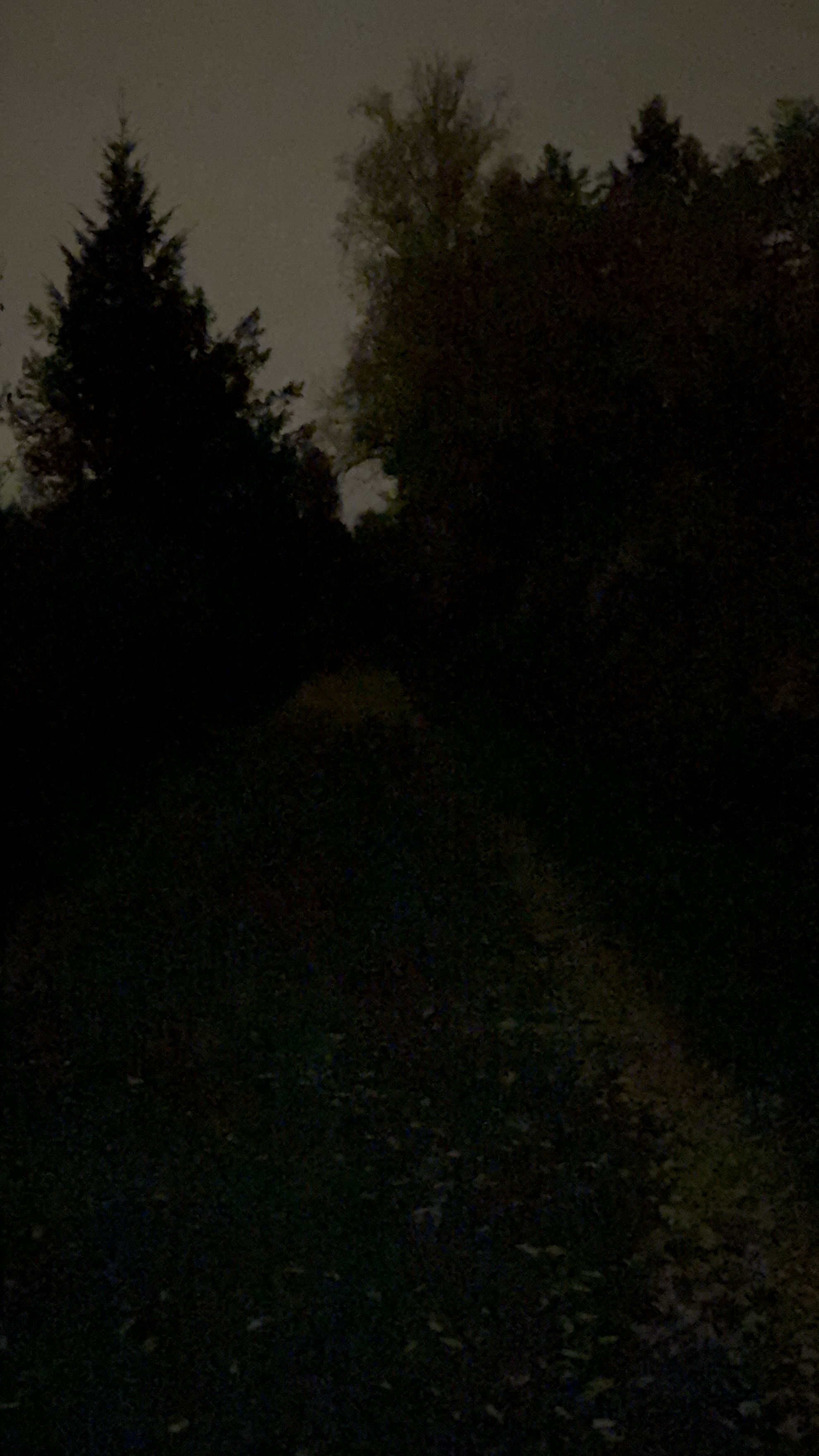 light level Diffuse 1