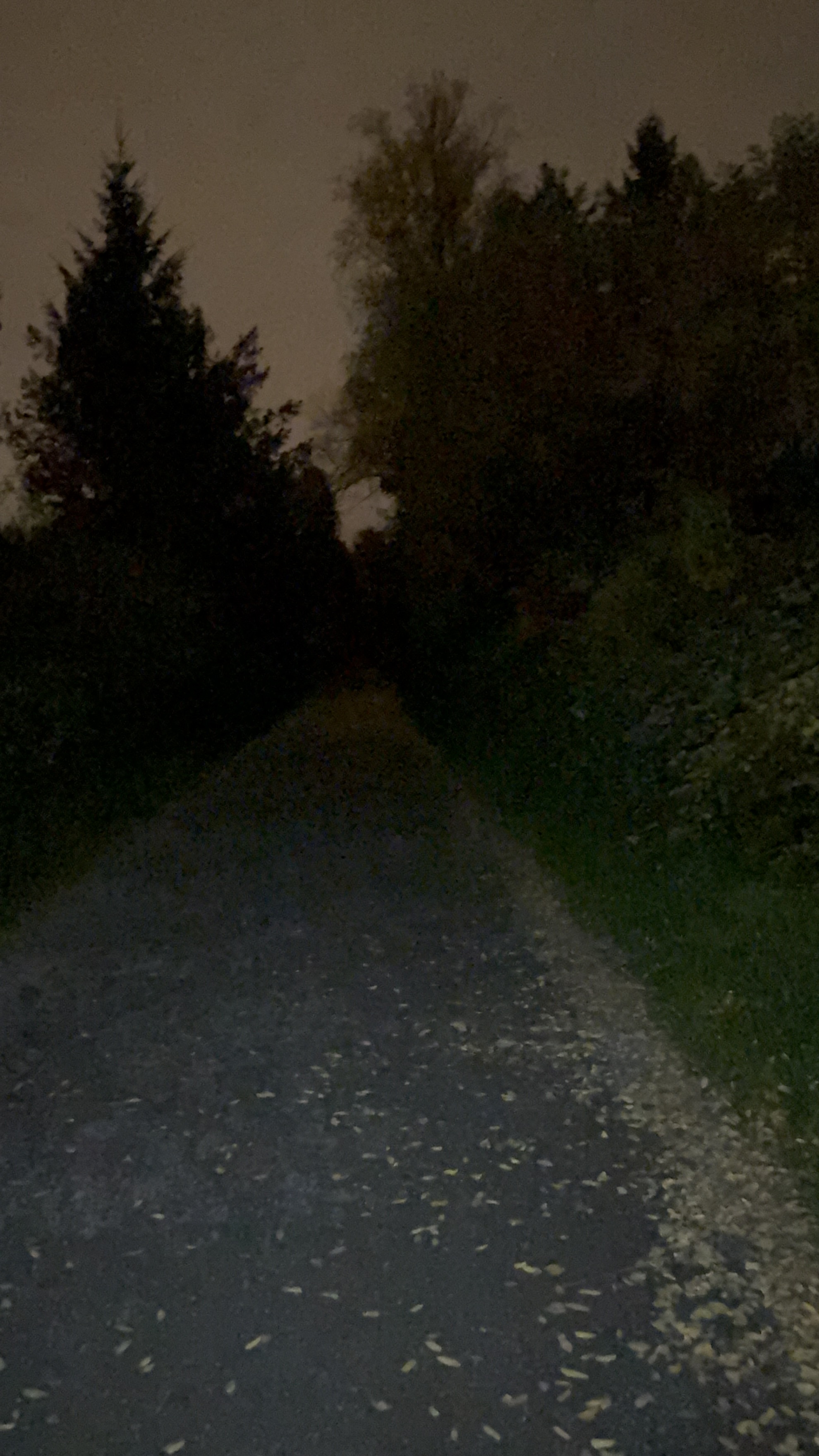 light level Diffuse 3