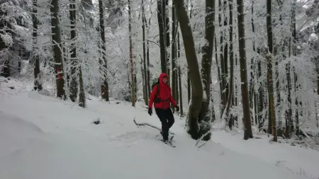 MSR Schneeschuhe