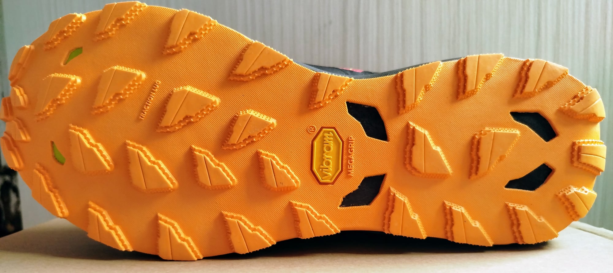 Mizuno Wave Daichi 9 31