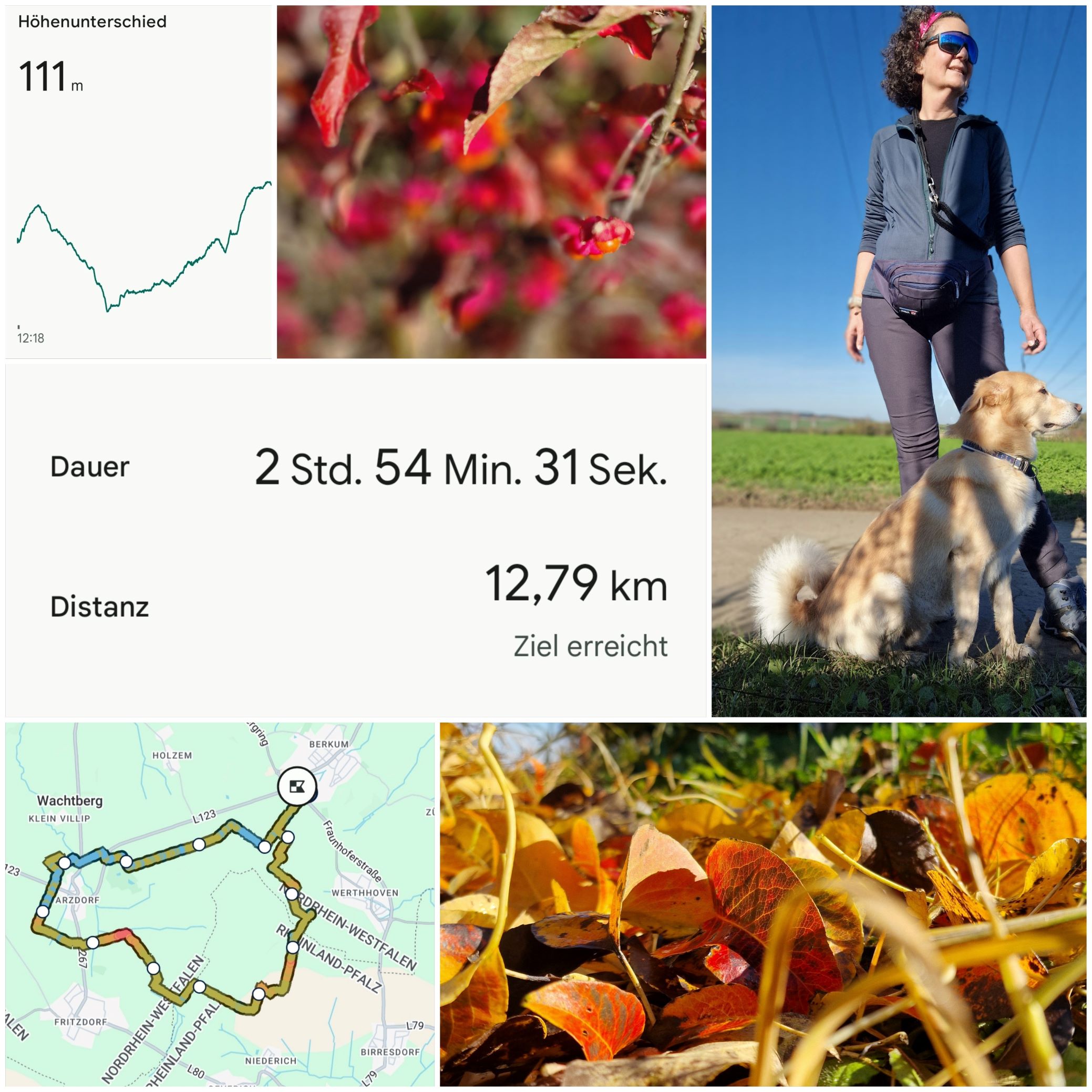 Powerwandern im goldenen Oktober. Da reichen Shirt und Fleecejacke. 