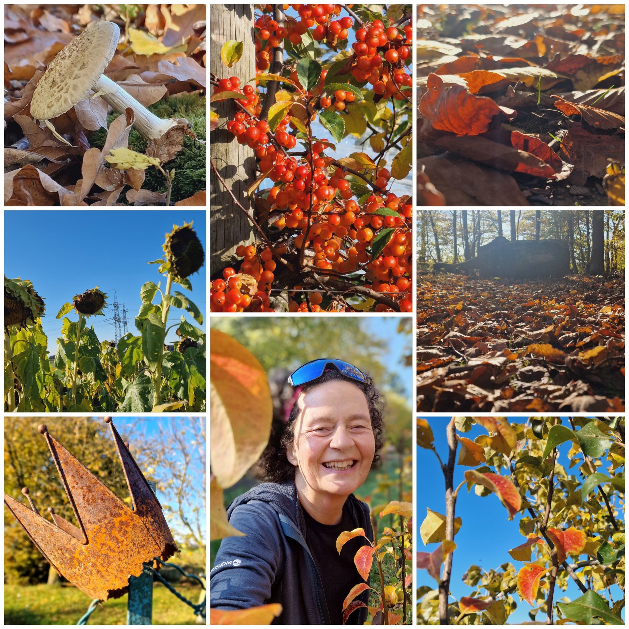 Herbstwanderung mit Hund