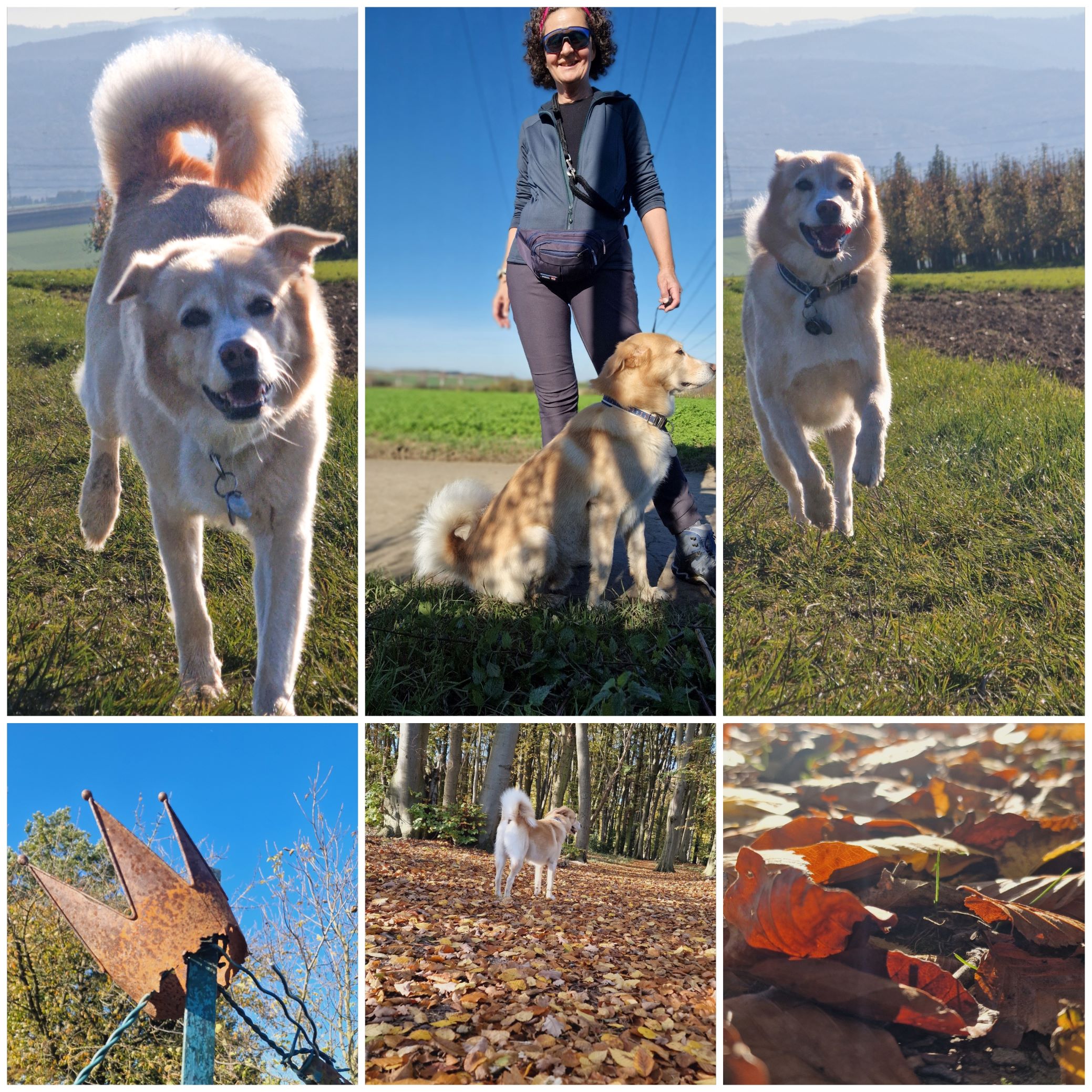 Spätsommer Feeling im Herbst