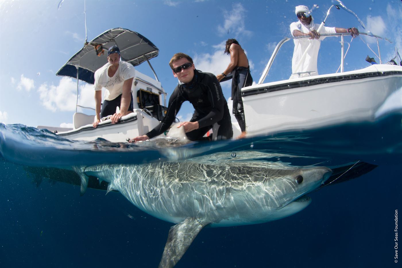 OCEAN FILM TOUR 2024 - OUTSIDEstories