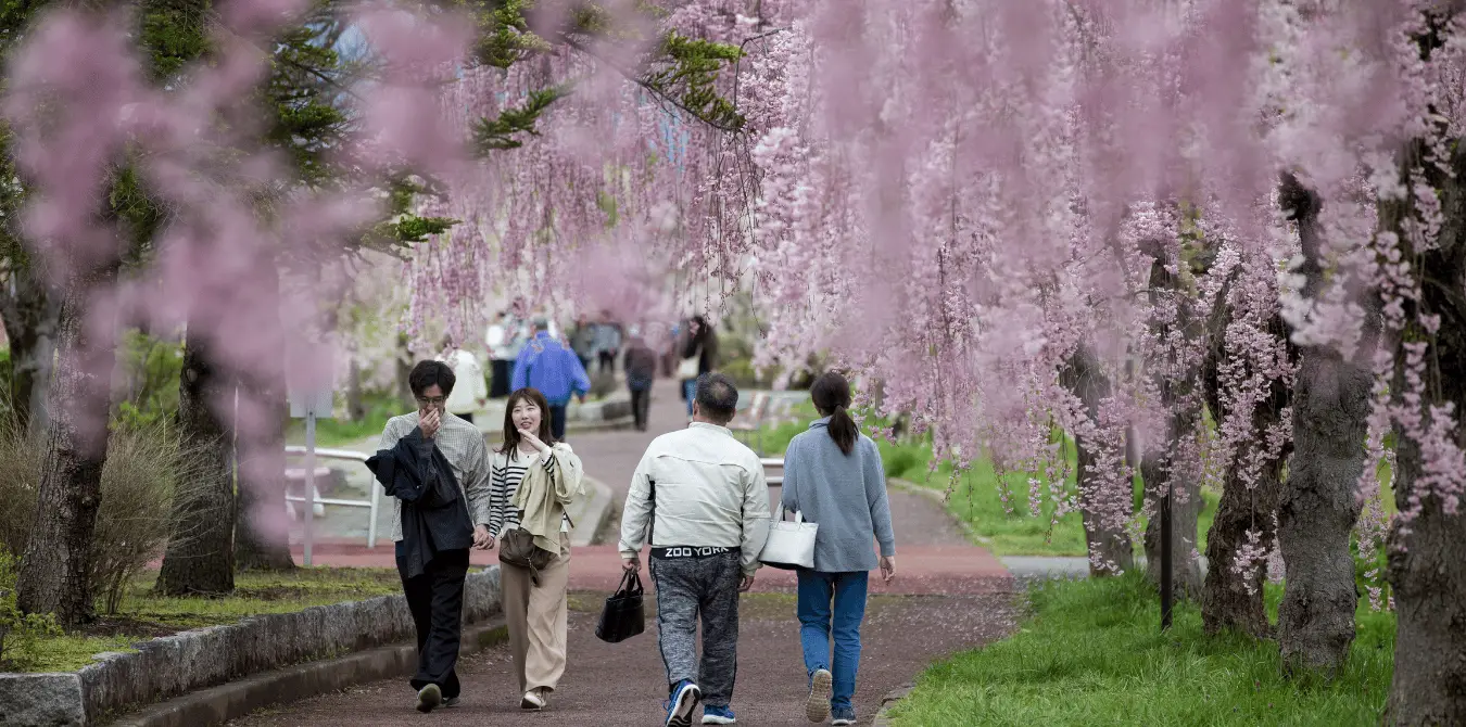 Sechs Richtige im Land der aufgehenden Sonne – Japan