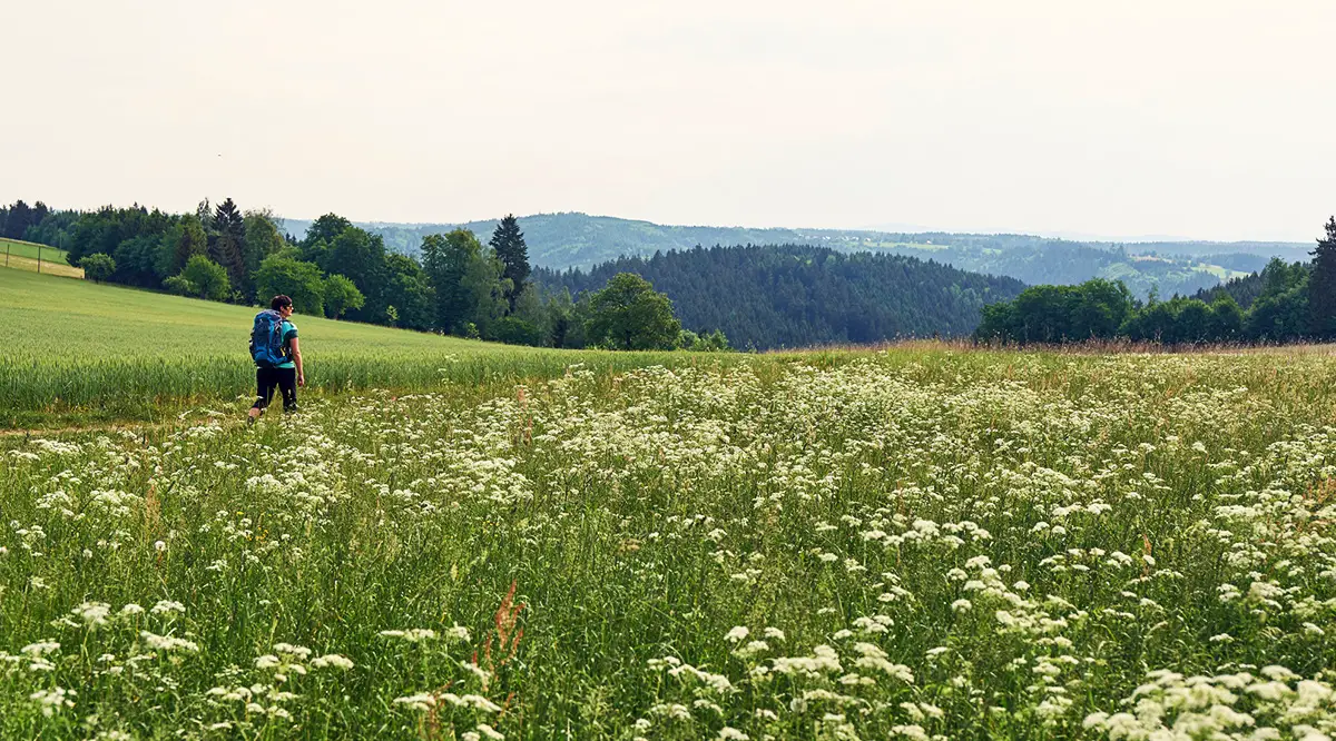 OUTSIDEstories Unterwegs Tipp Wandern FrankenwaldSteigla