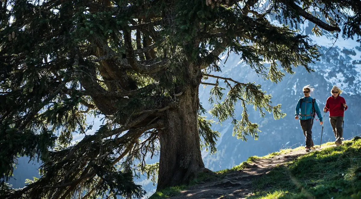 OUTSIDEstories-Unterwegs Tipp Herbst-Wandern Kleinwalsertal
